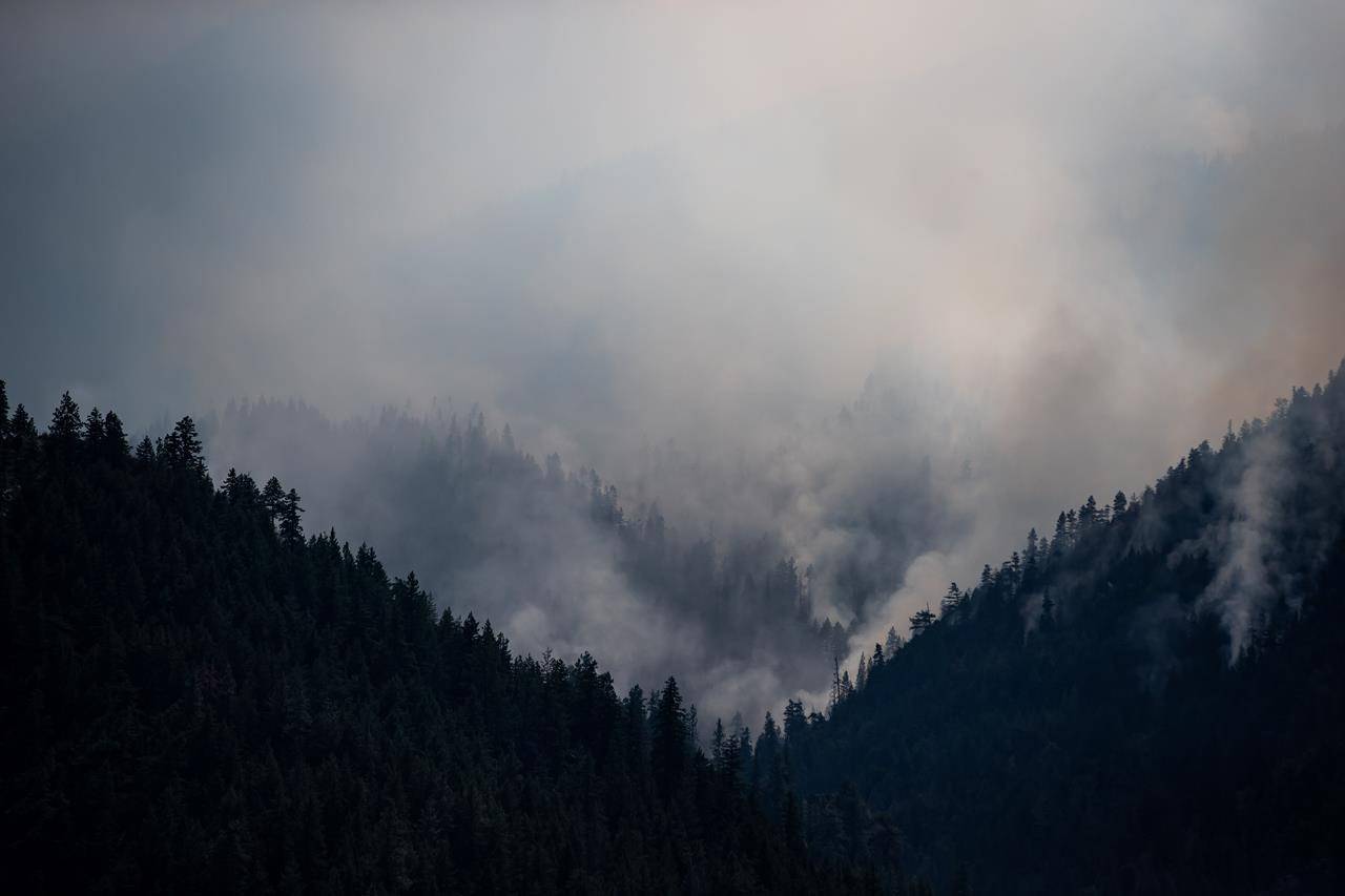 British Columbia Foggy Forest Wallpapers