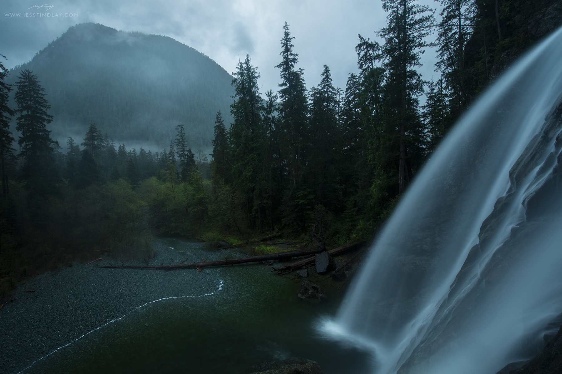 British Columbia Foggy Forest Wallpapers