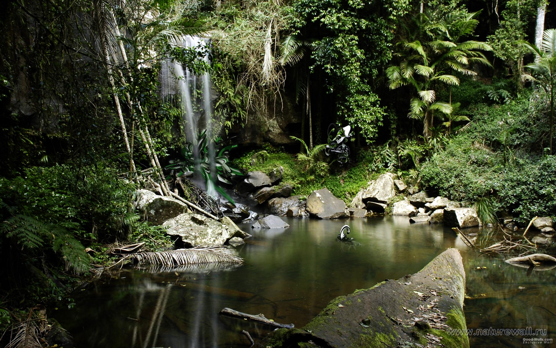 Burma Asia Forest 4K Wallpapers