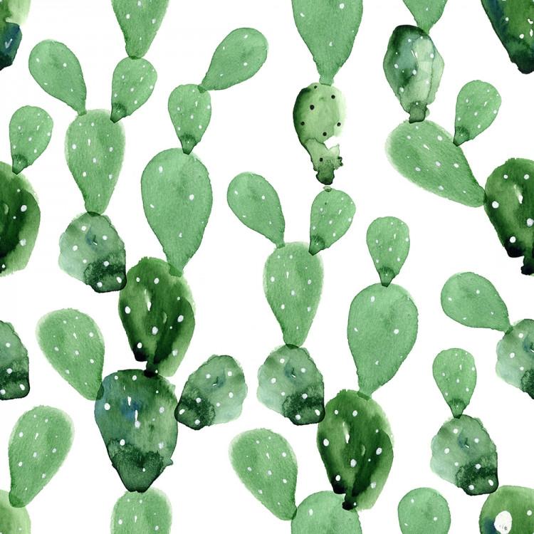 Cactus Wallpapers