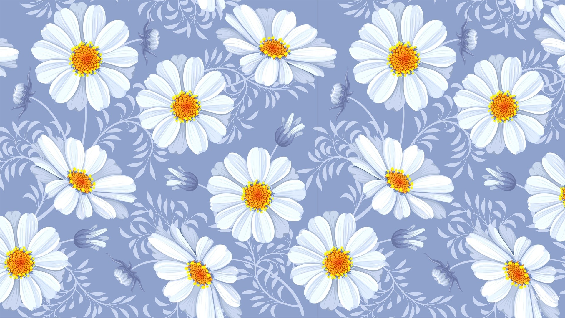 Camomile Wallpapers