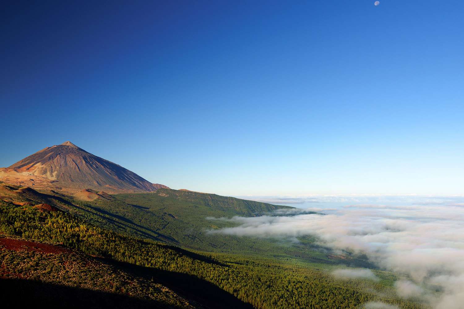 Canary Islands Vineyard Wallpapers