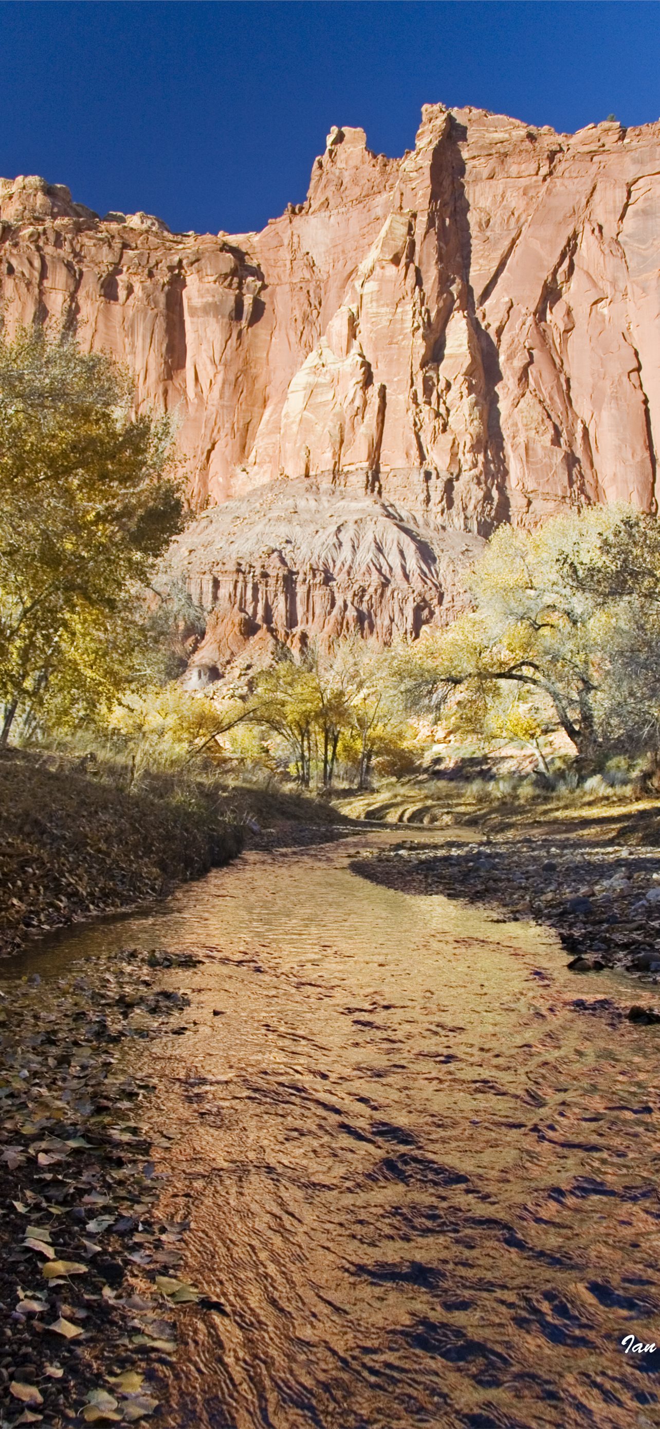 Capitol Reef National Park Wallpapers