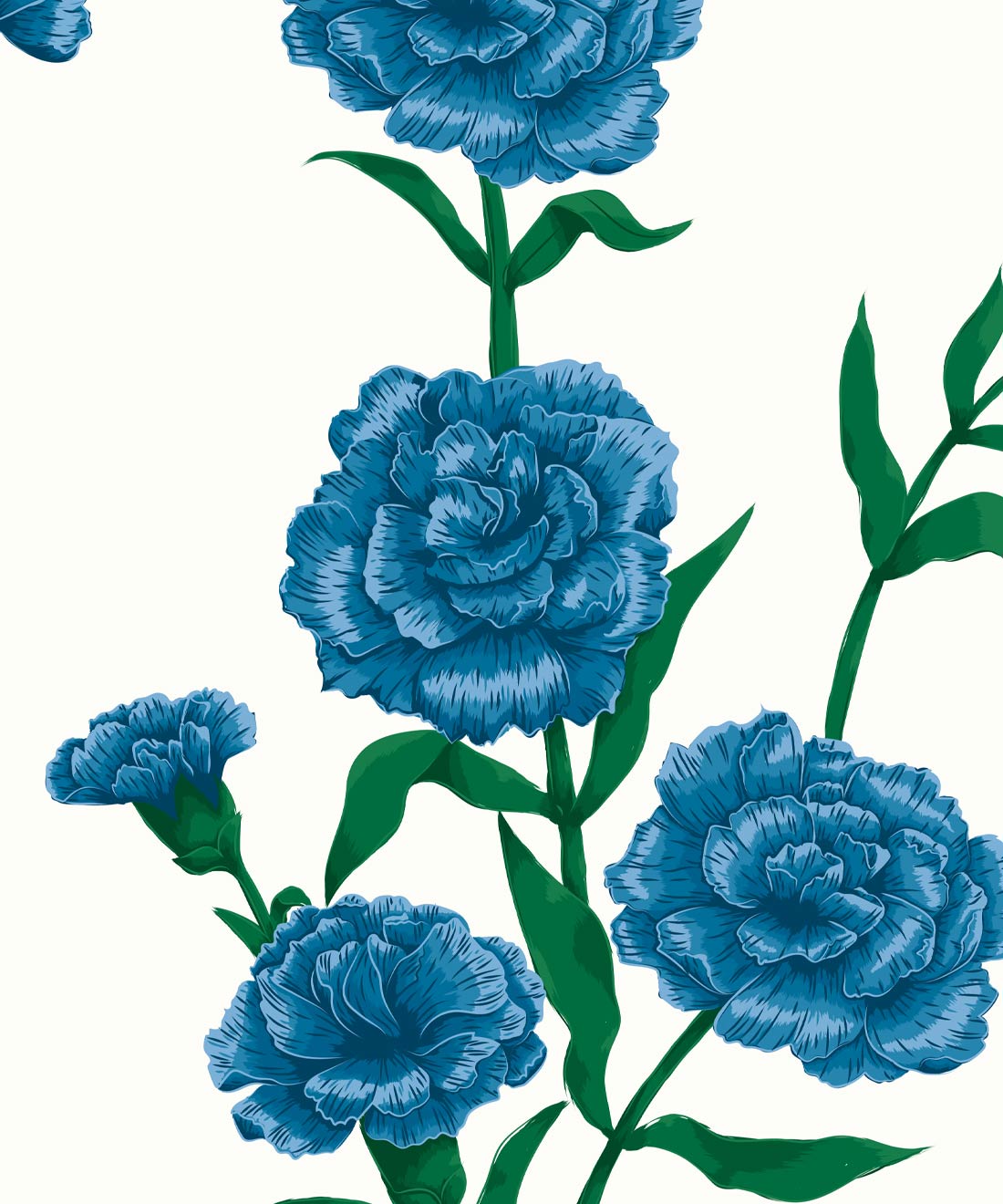 Carnation Wallpapers