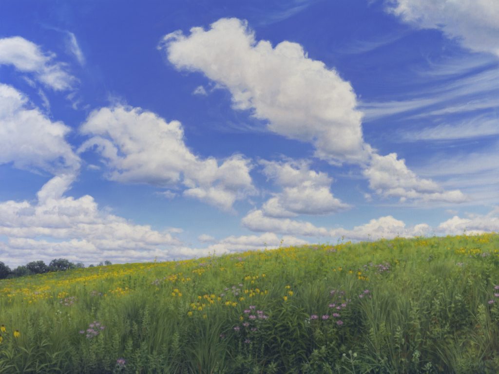 Cloudy Field Paint Wallpapers