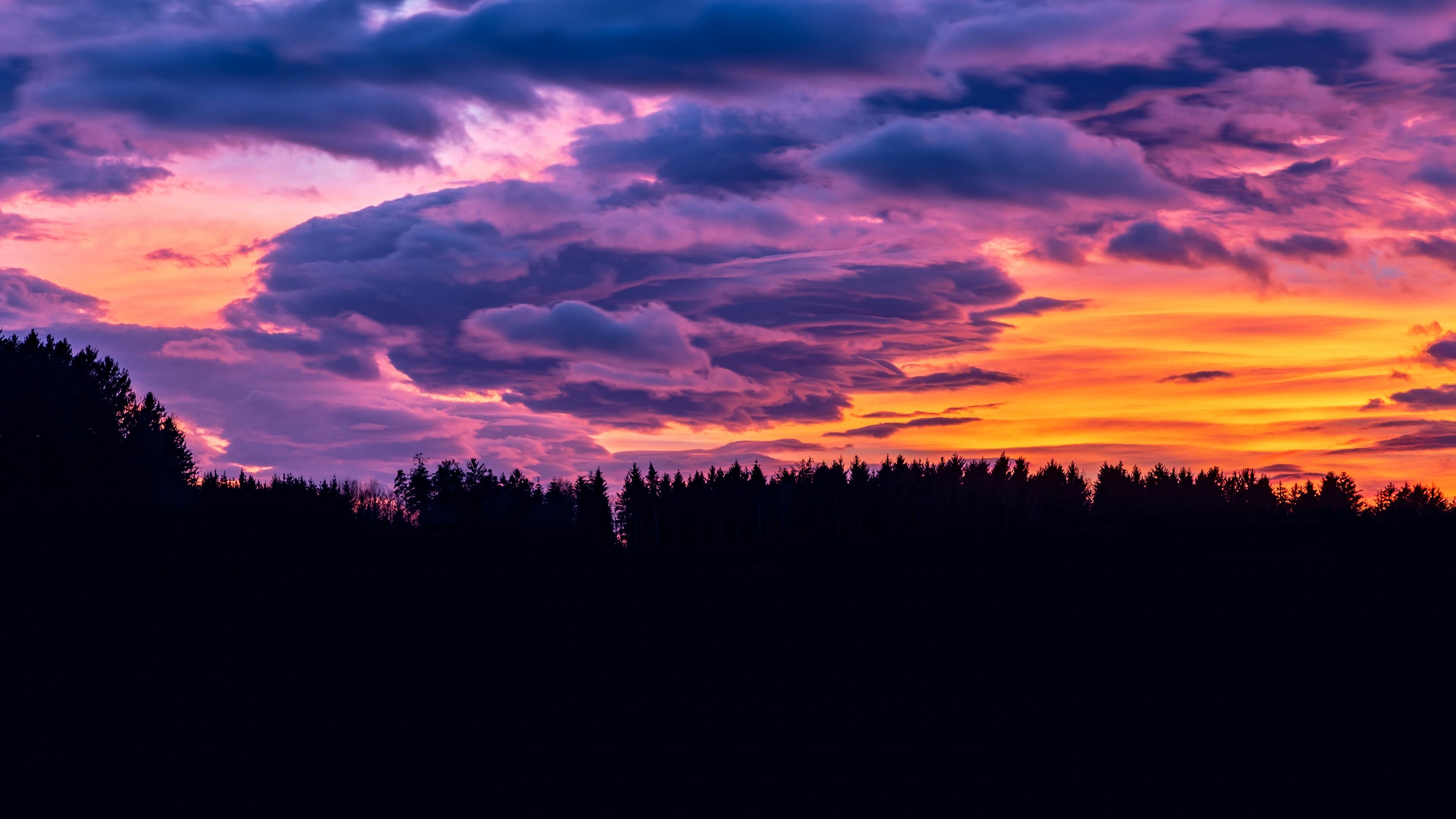 Cloudy Orange Sunset In Forest Wallpapers