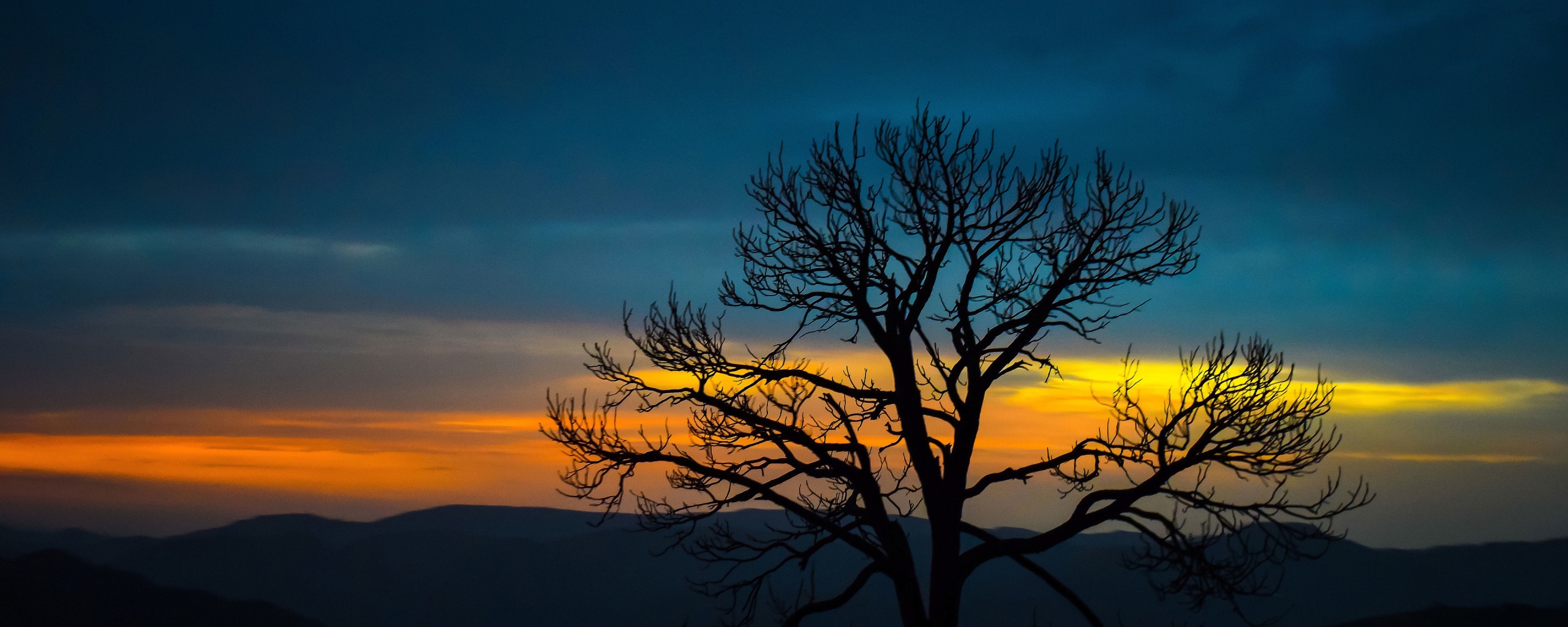 Cloudy Orange Sunset In Forest Wallpapers