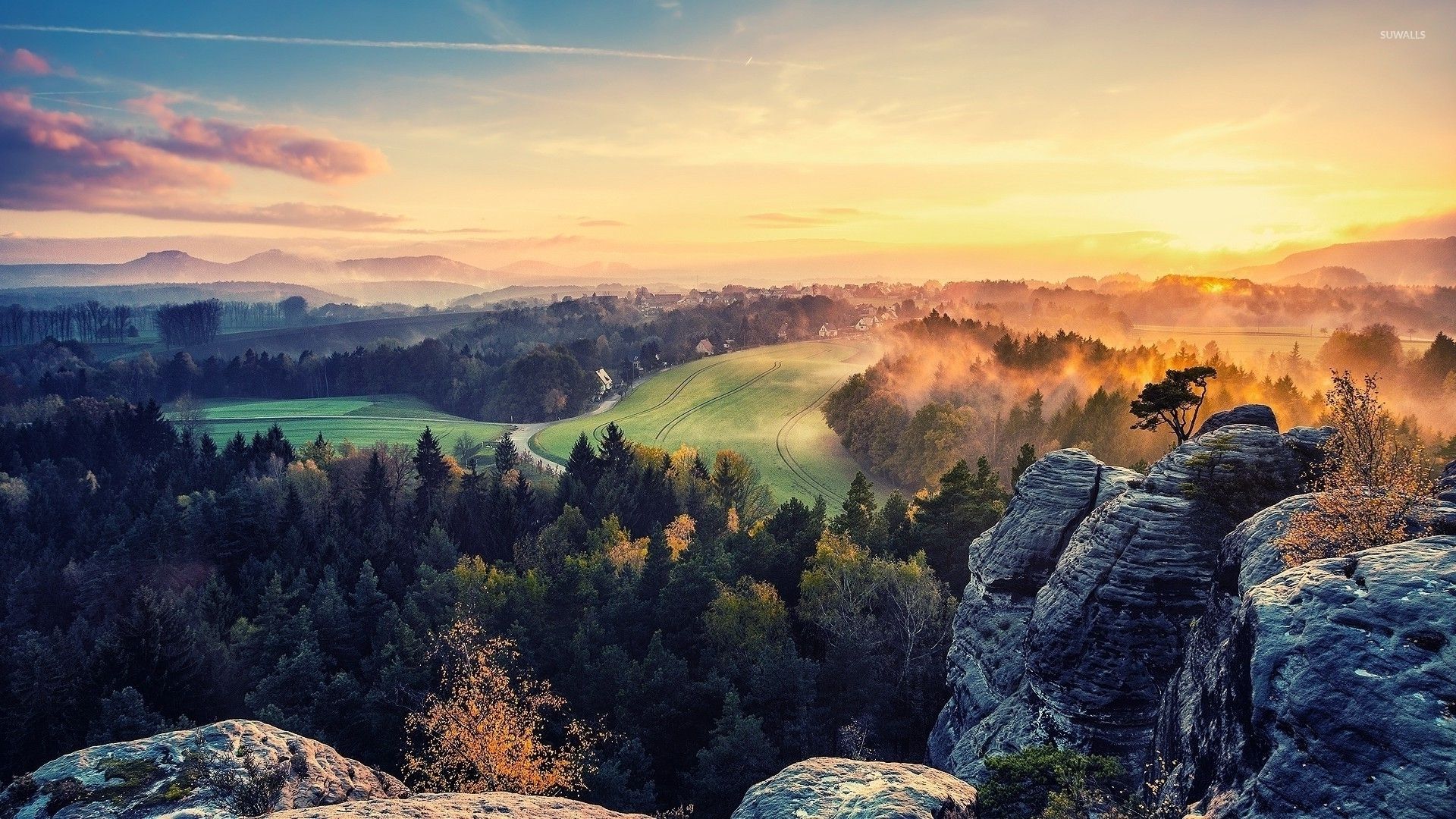 Cloudy Orange Sunset In Forest Wallpapers