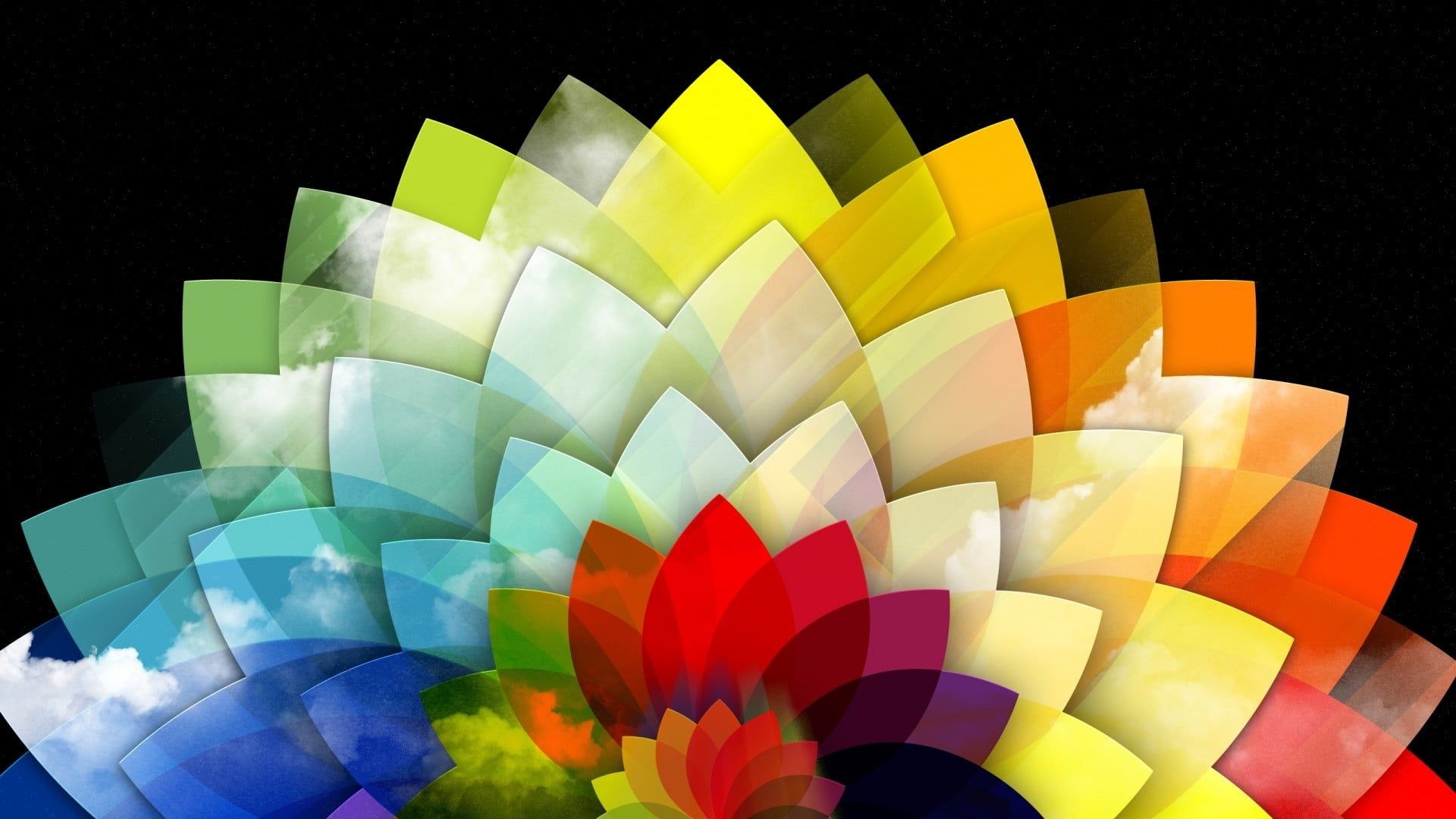 Colorful Flowers Digital Art Wallpapers