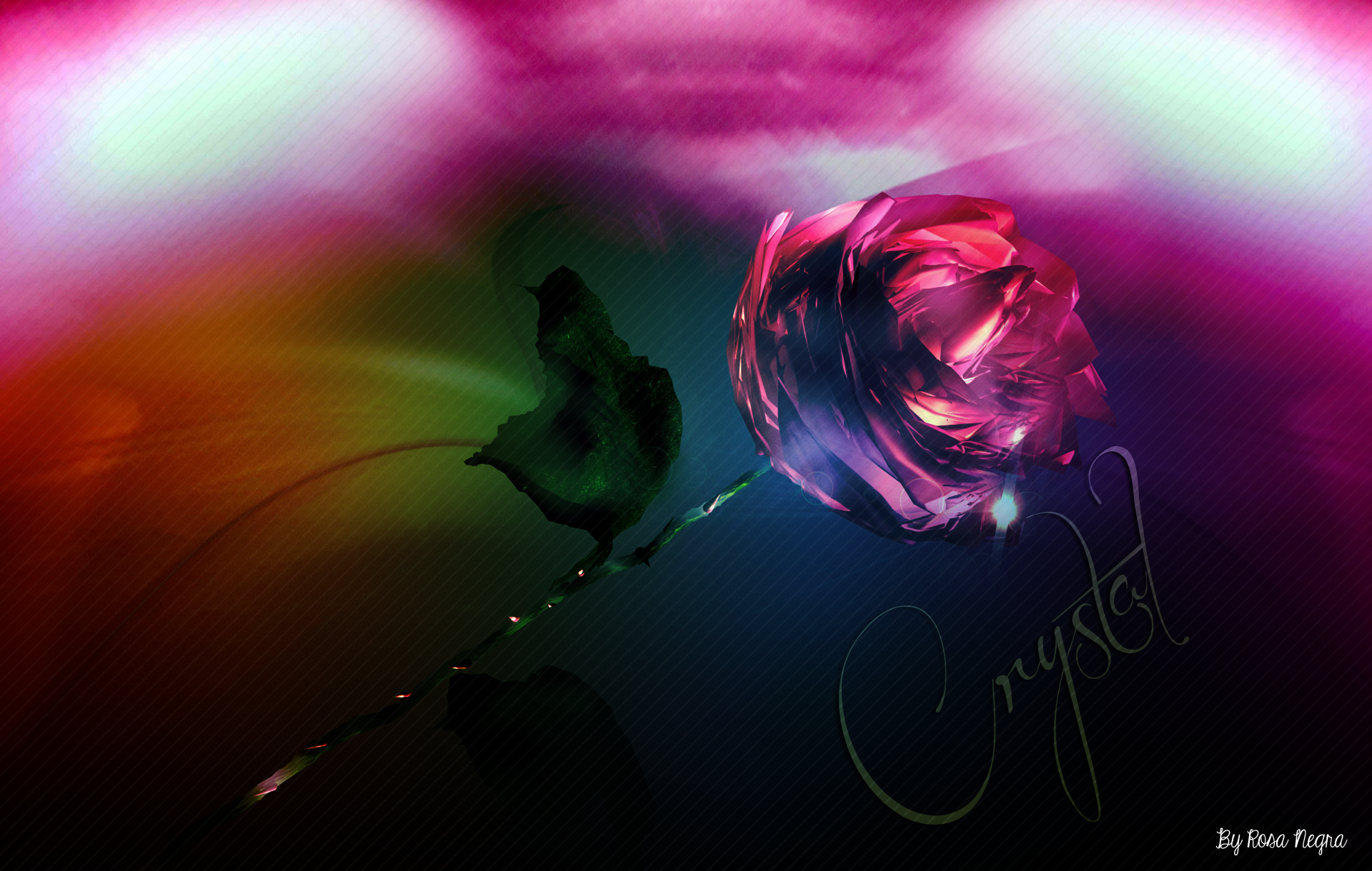 Colorful Flowers Digital Art Wallpapers