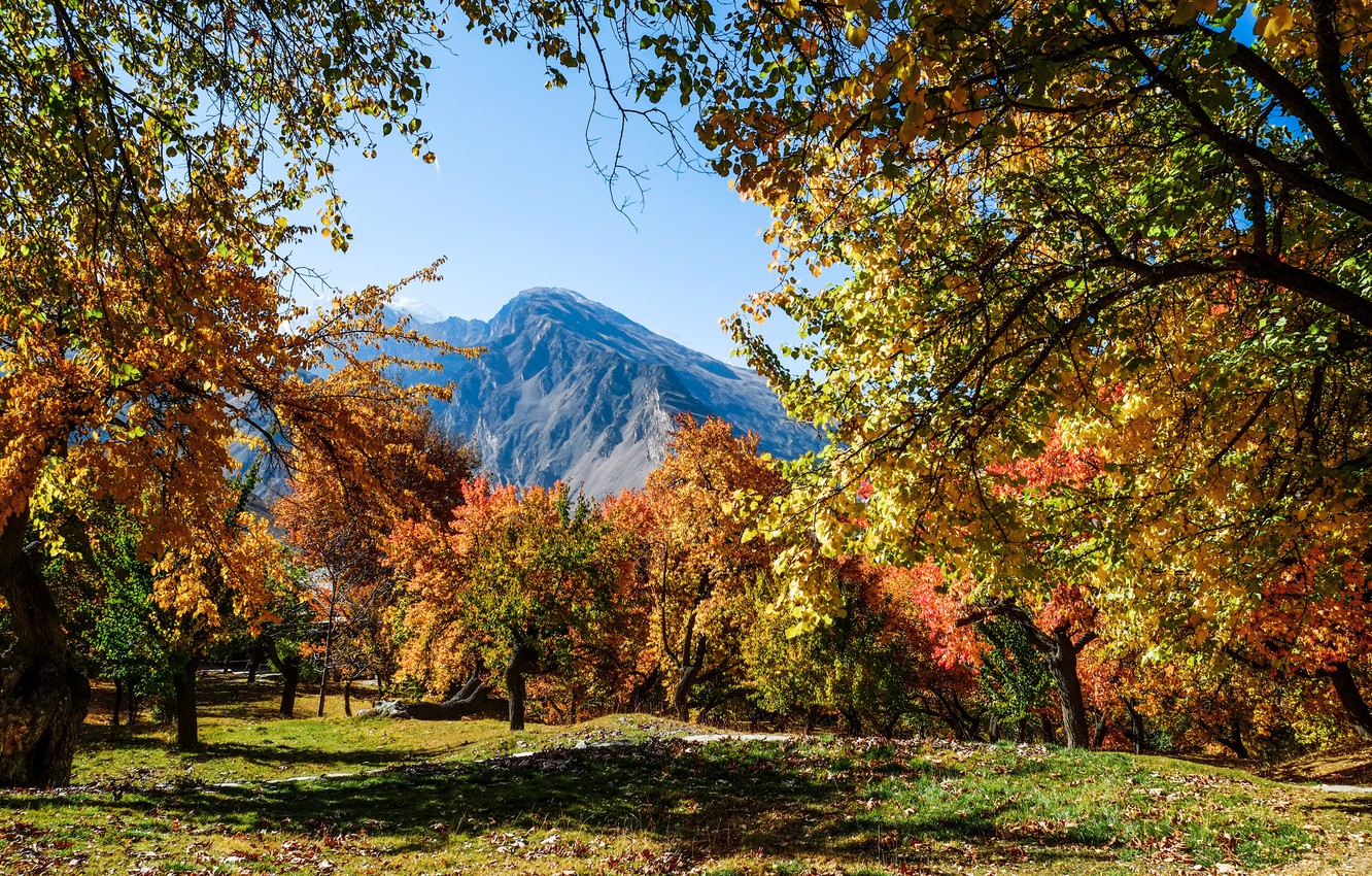 Colorful Landscape Forest Fall Wallpapers