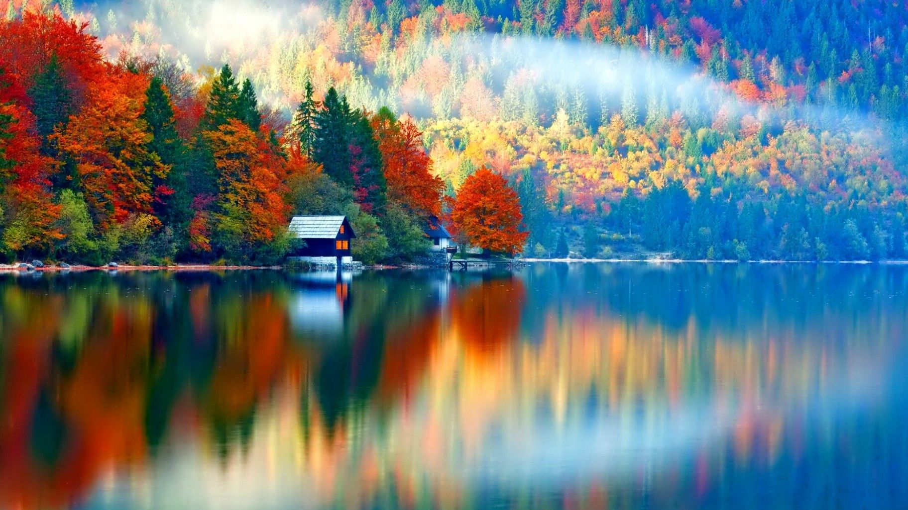 Colorful Landscape Forest Fall Wallpapers