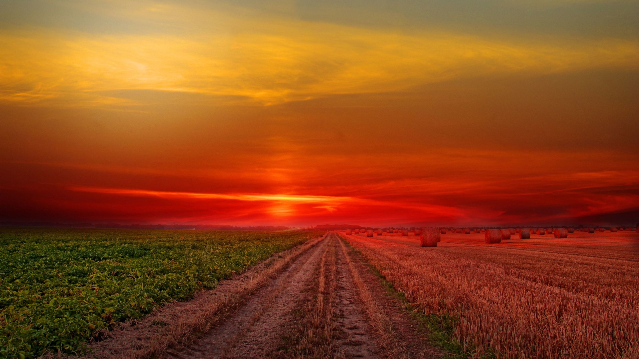 Colorful Sunset At Lonely Field Wallpapers