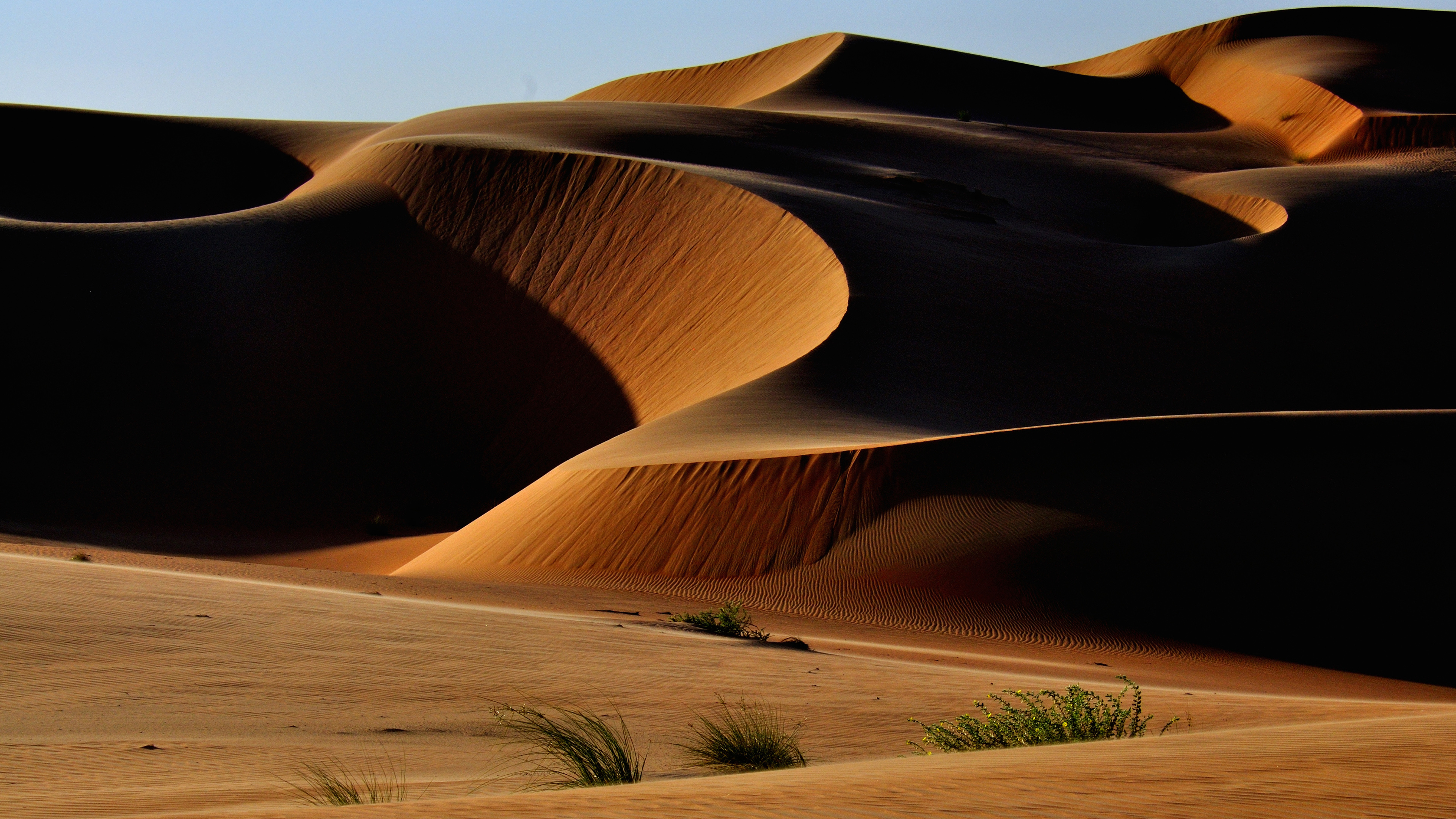 Desert Wallpapers