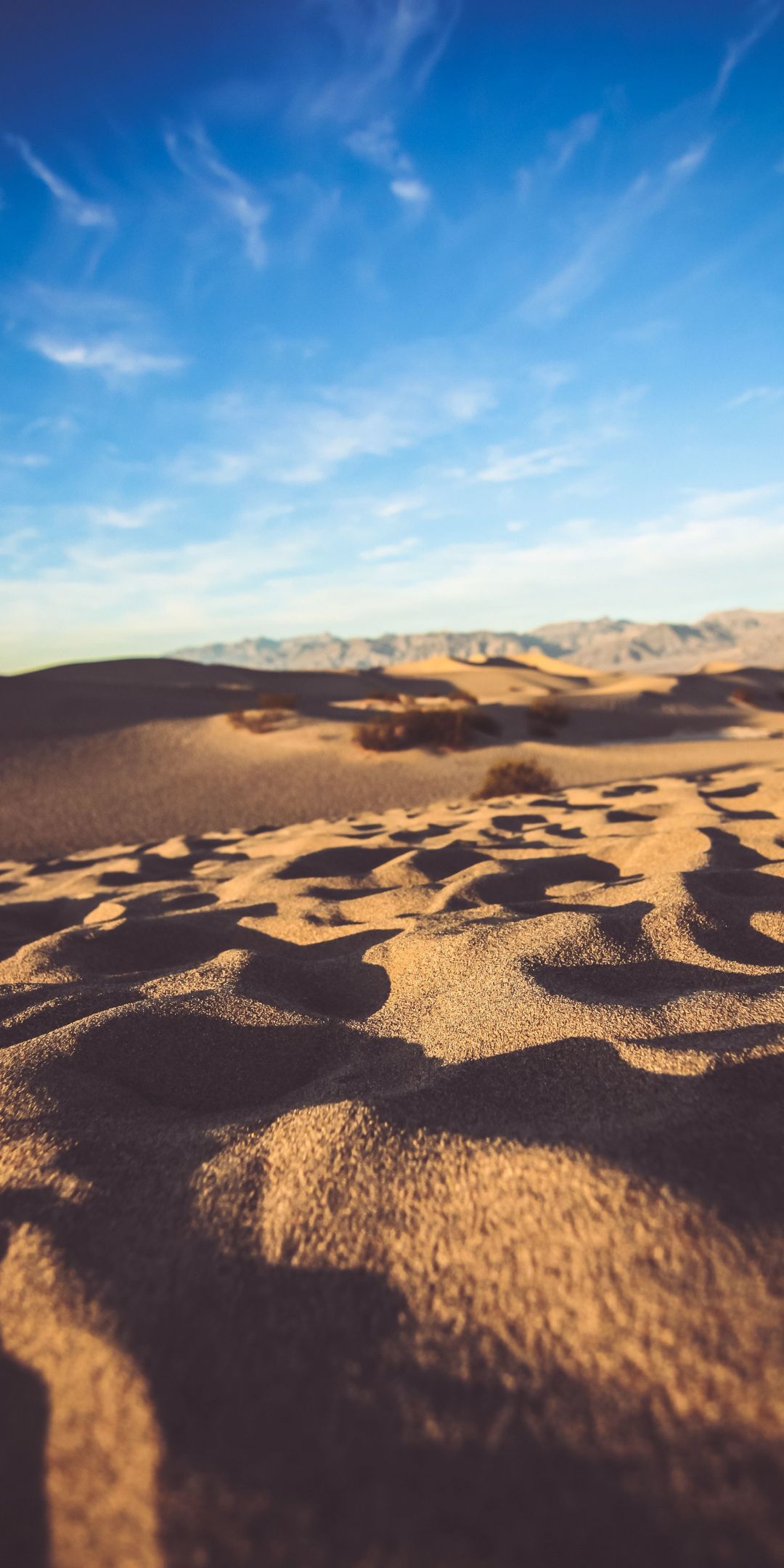 Desert Surface Wallpapers