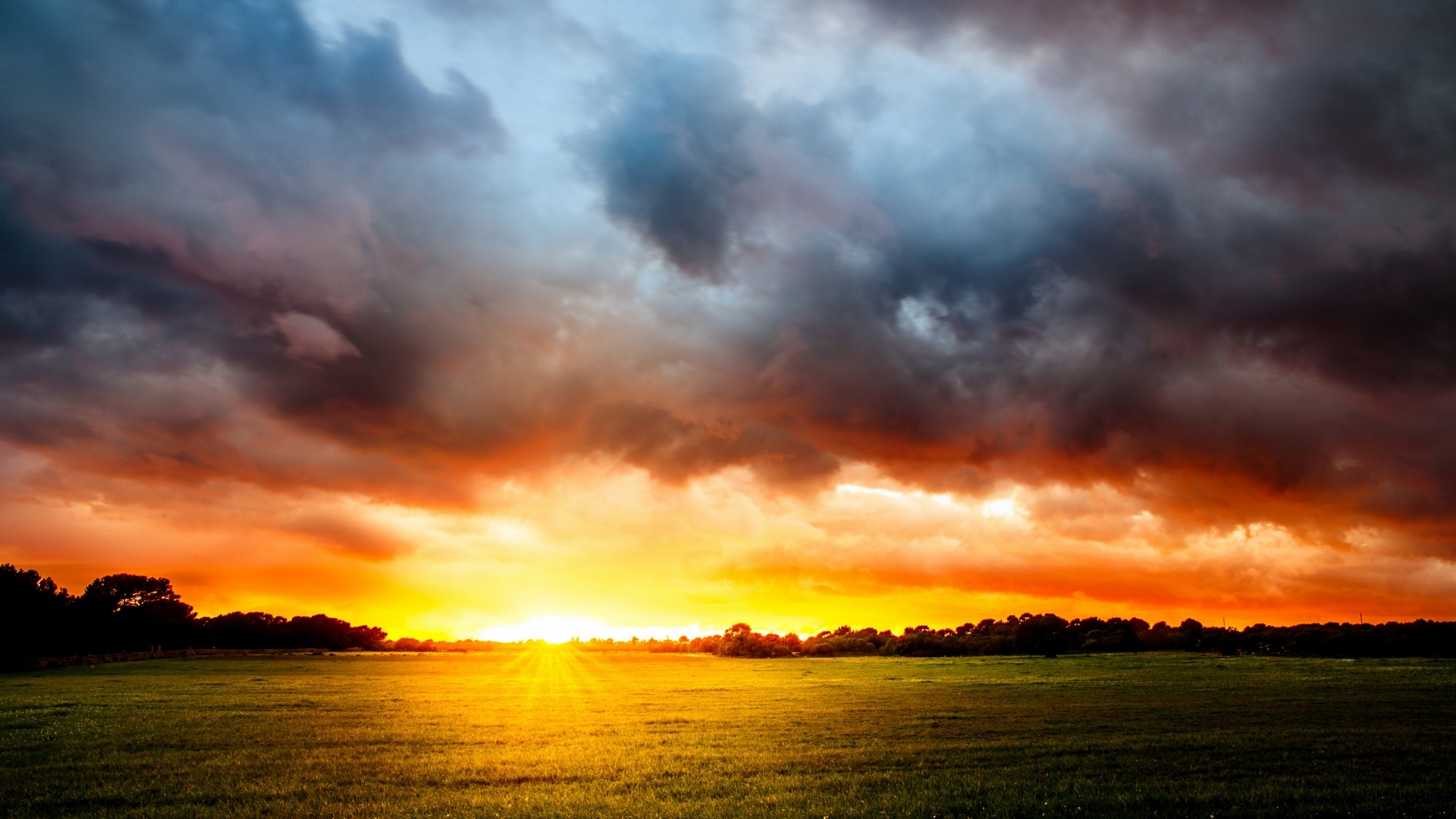 Dramatic Field Under Dark Clouds Wallpapers