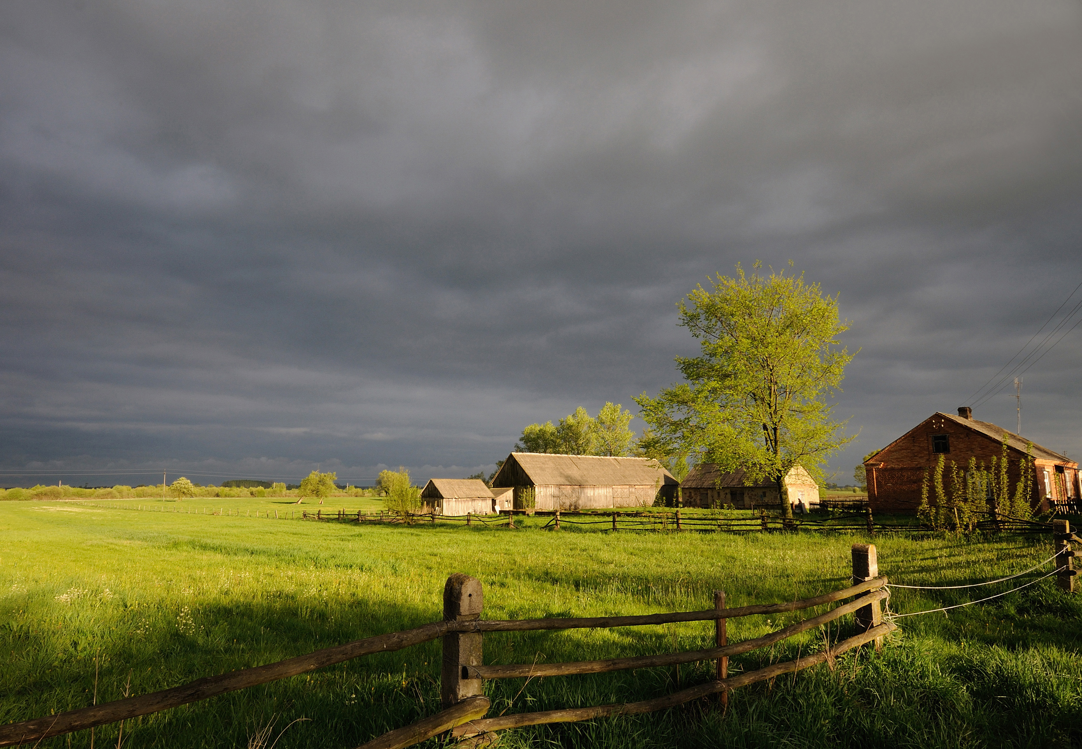 Dramatic Field Under Dark Clouds Wallpapers