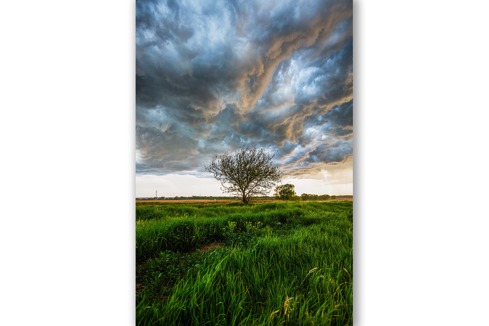 Dramatic Field Under Dark Clouds Wallpapers