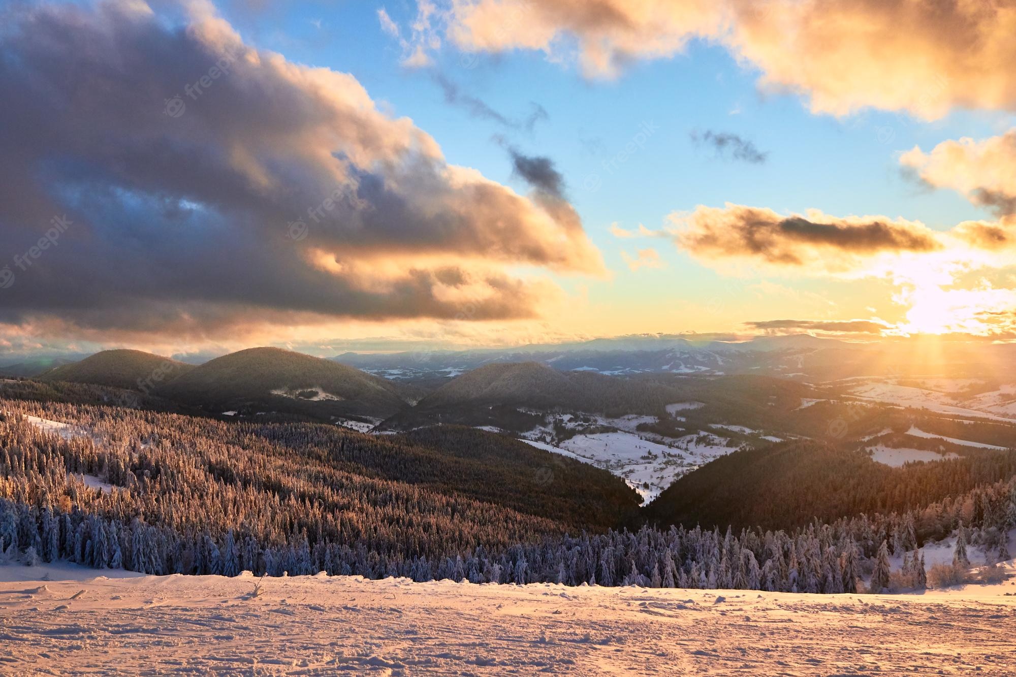 Dramatic Winter Twilight In Forest Wallpapers