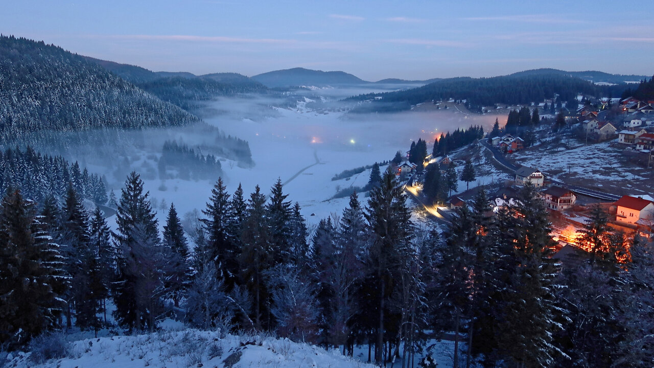 Dramatic Winter Twilight In Forest Wallpapers