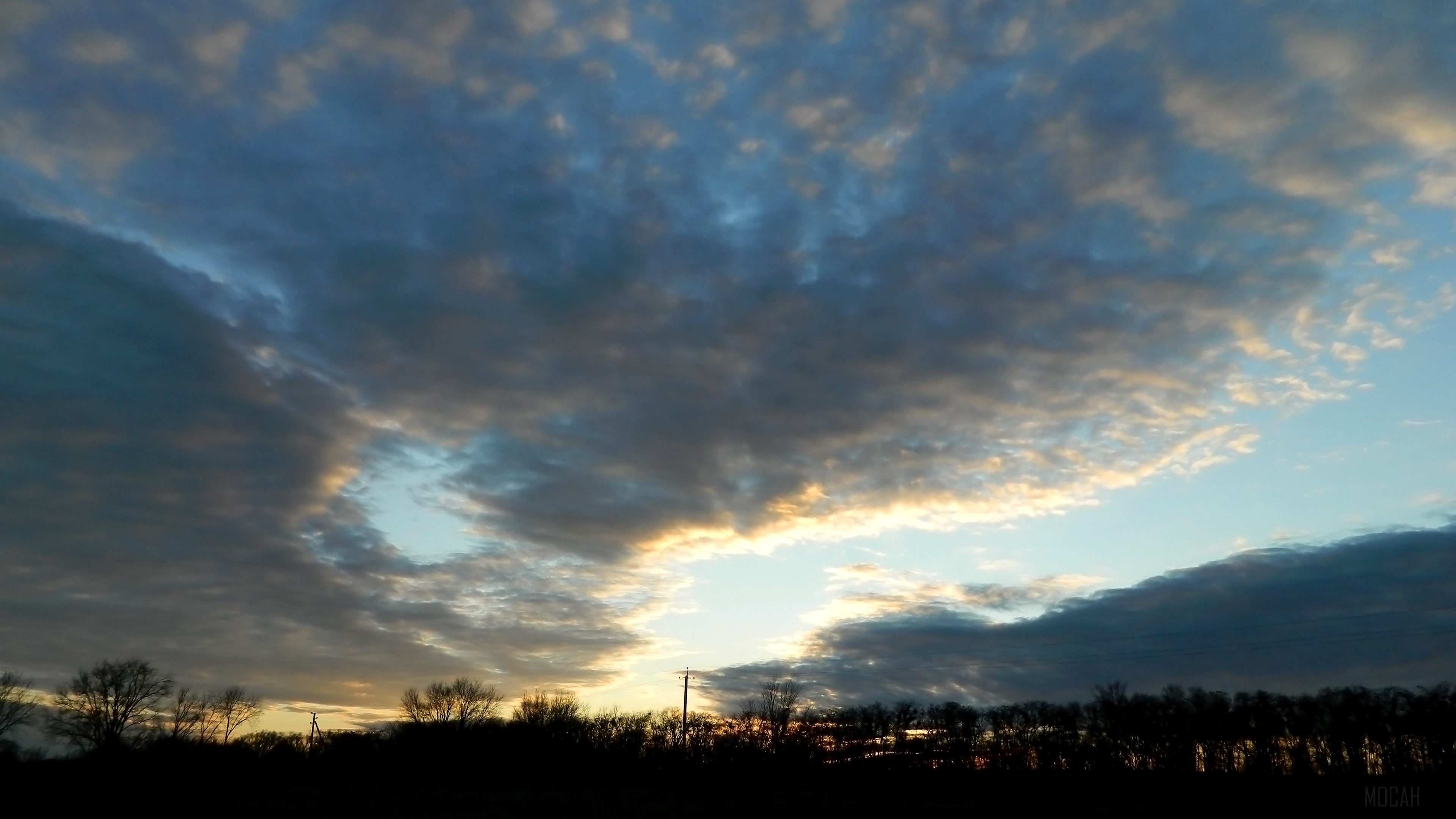 Dramatic Winter Twilight In Forest Wallpapers