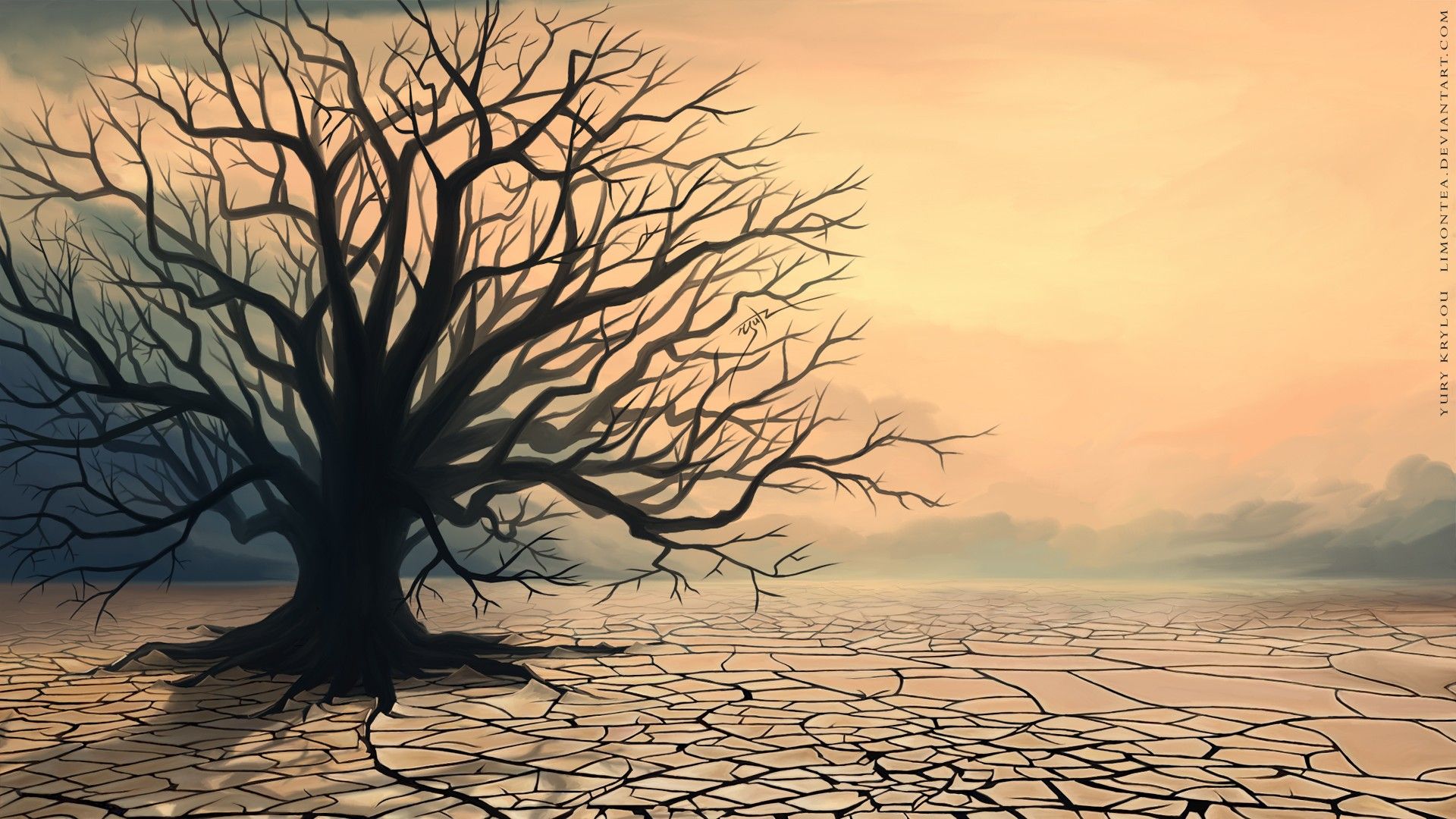 Dying Tree Wallpapers