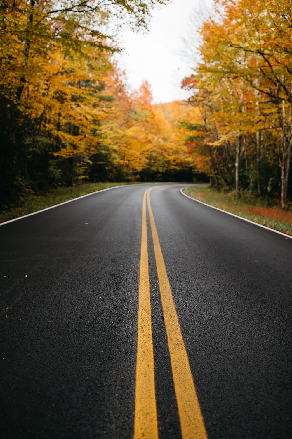 Empty Road Wallpapers