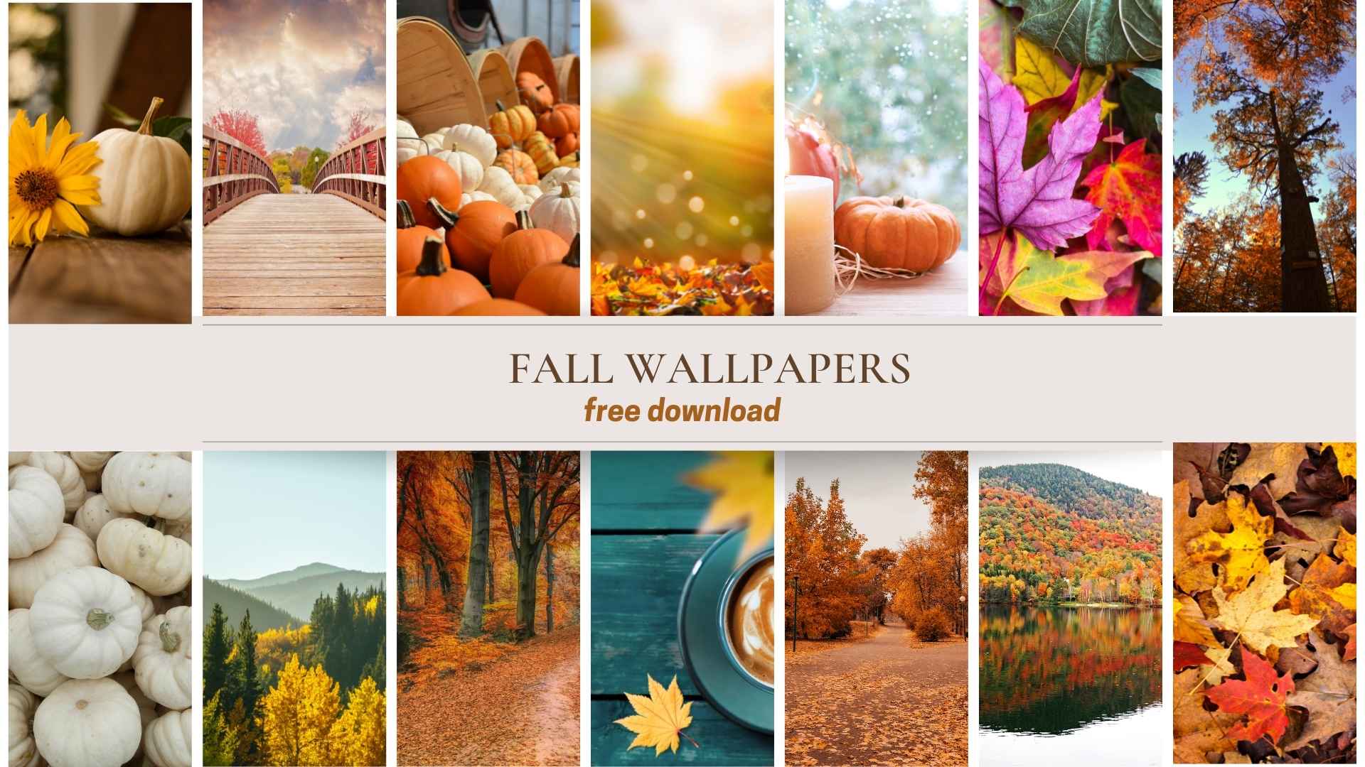 Fall Wallpapers