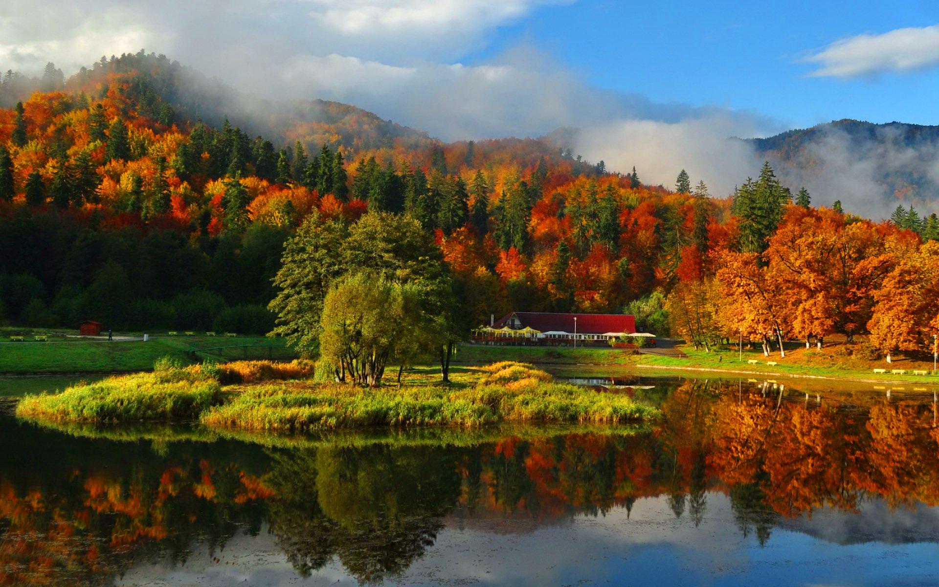 Fall Foliage Forest Lake Nature Reflection Wallpapers