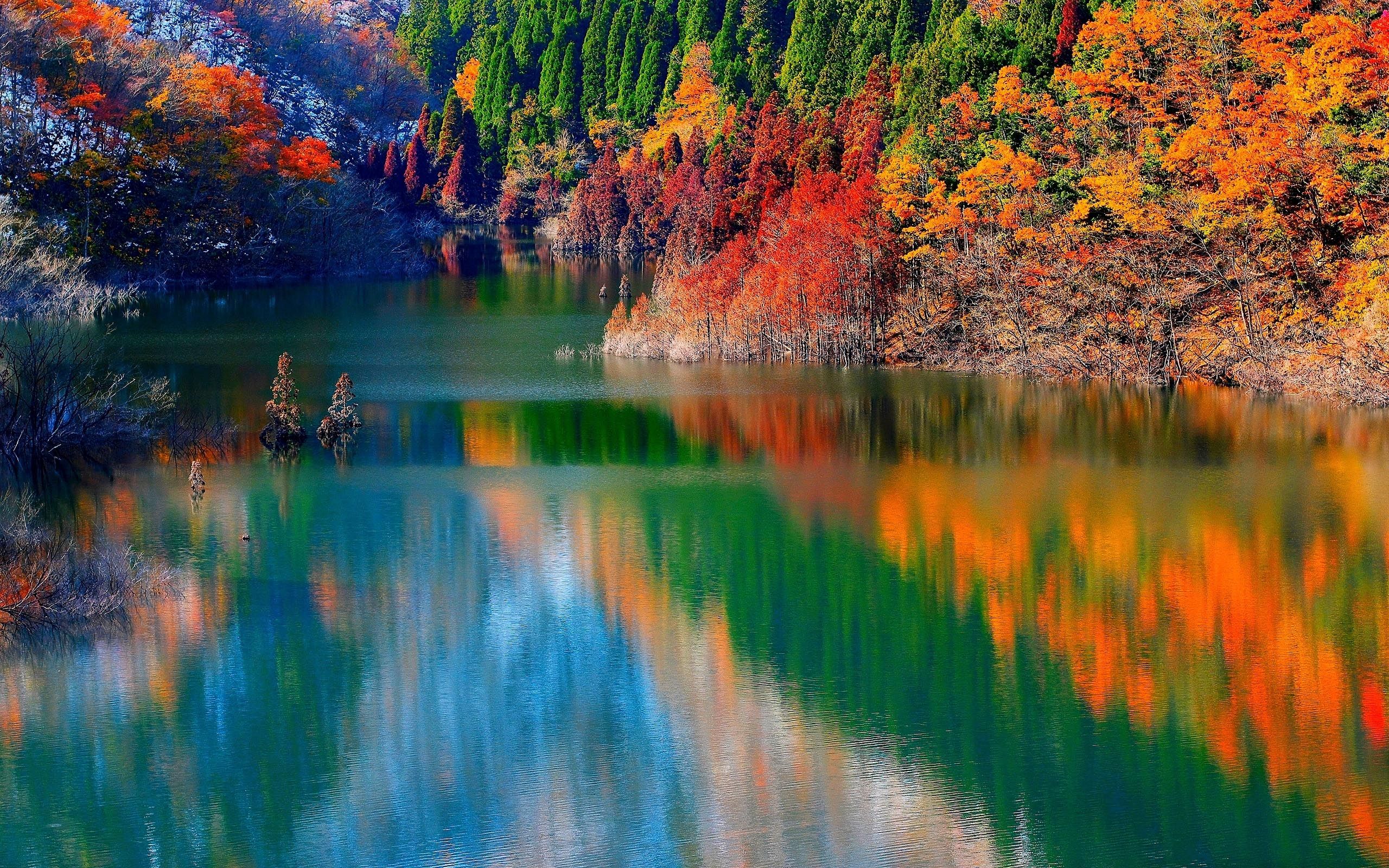 Fall Foliage Forest Lake Nature Reflection Wallpapers