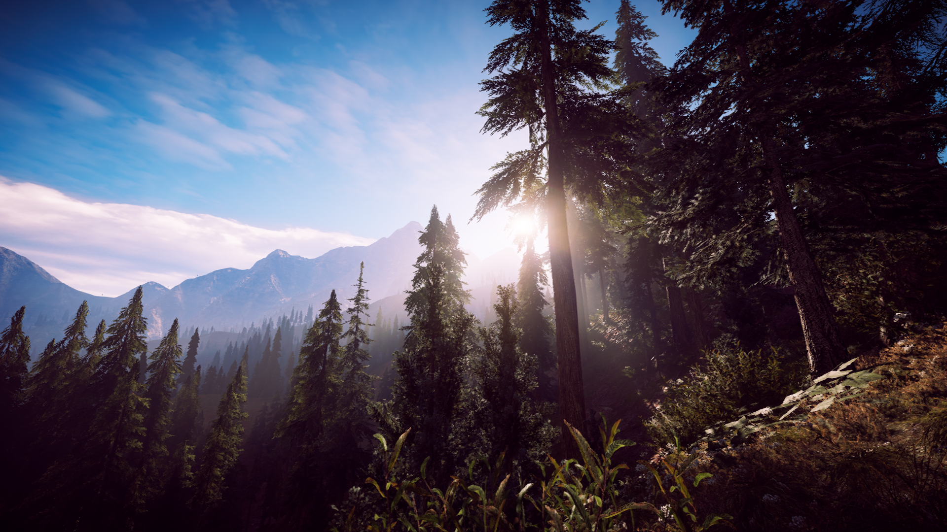 Far Cry 5 Nature View Wallpapers