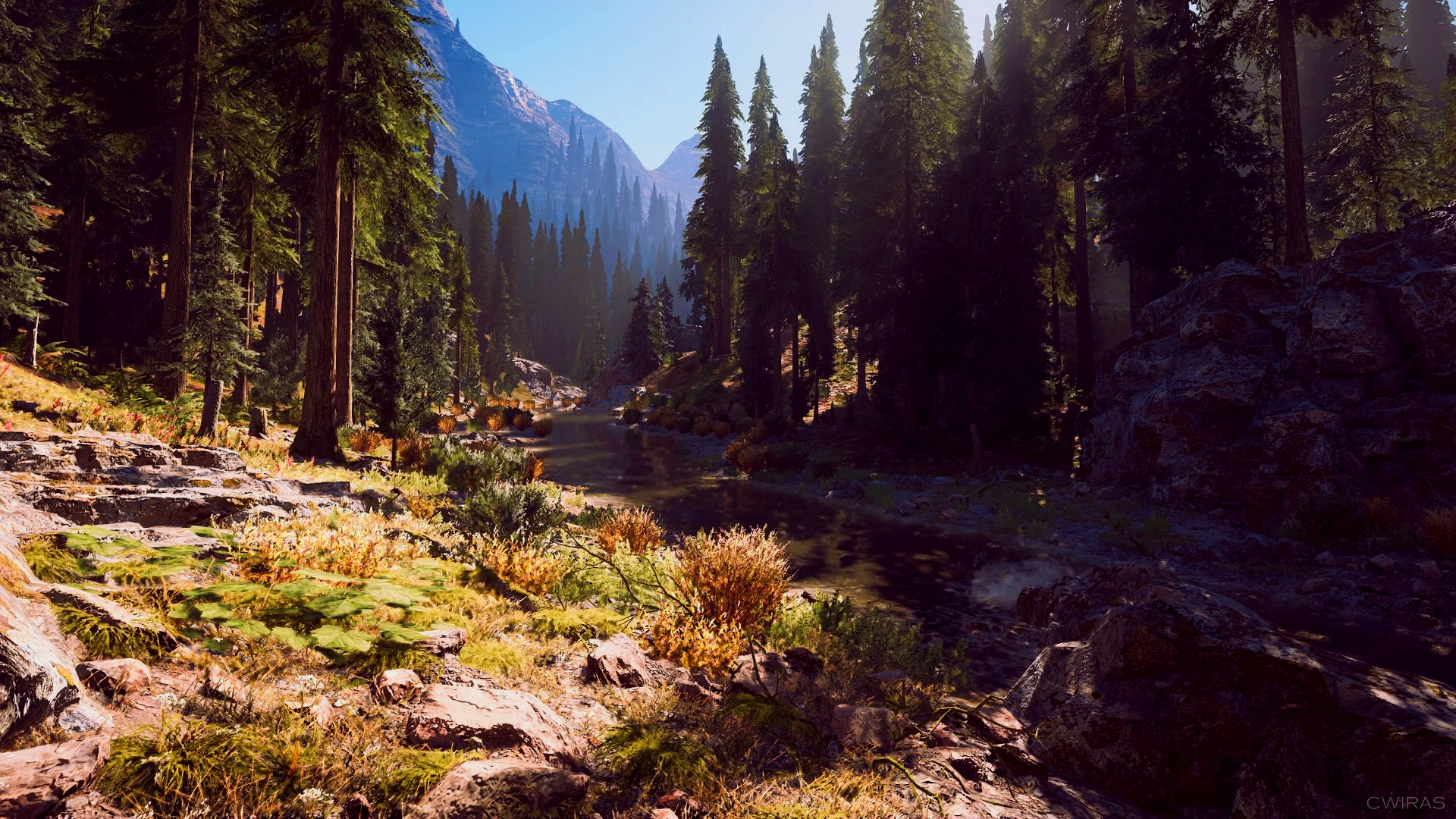 Far Cry 5 Nature View Wallpapers