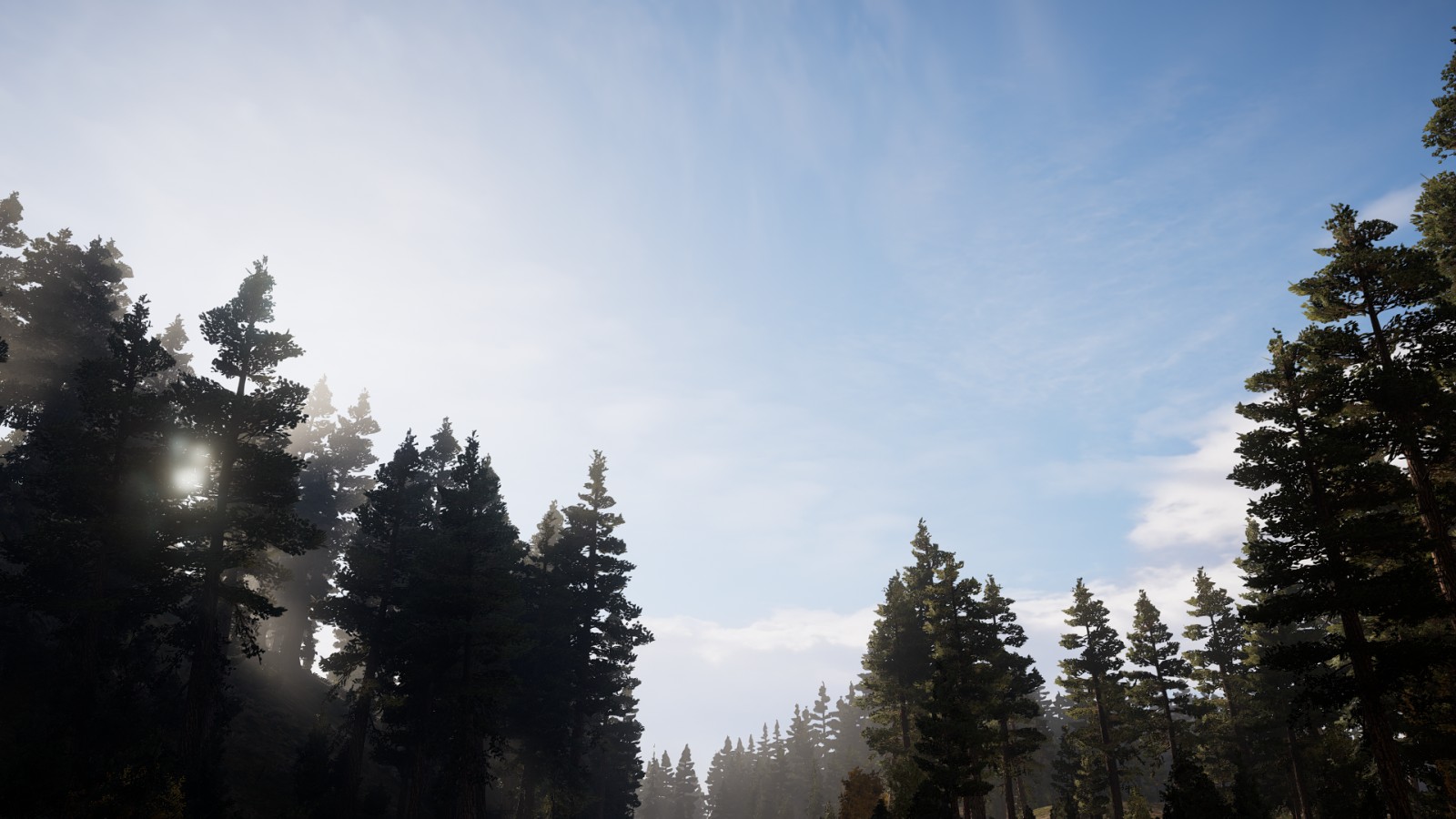 Far Cry 5 Nature View Wallpapers