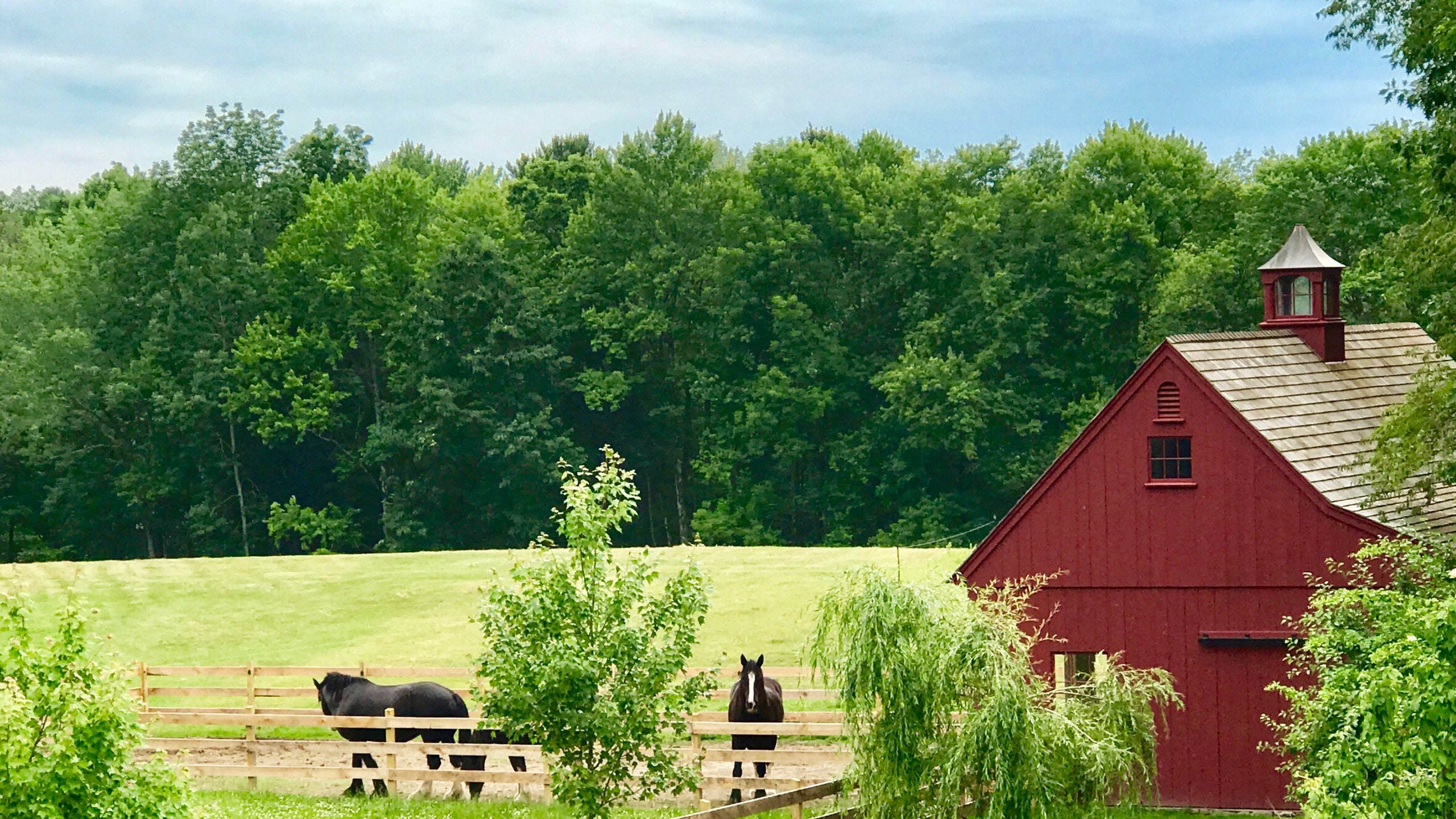 Farmhouse Field Wallpapers