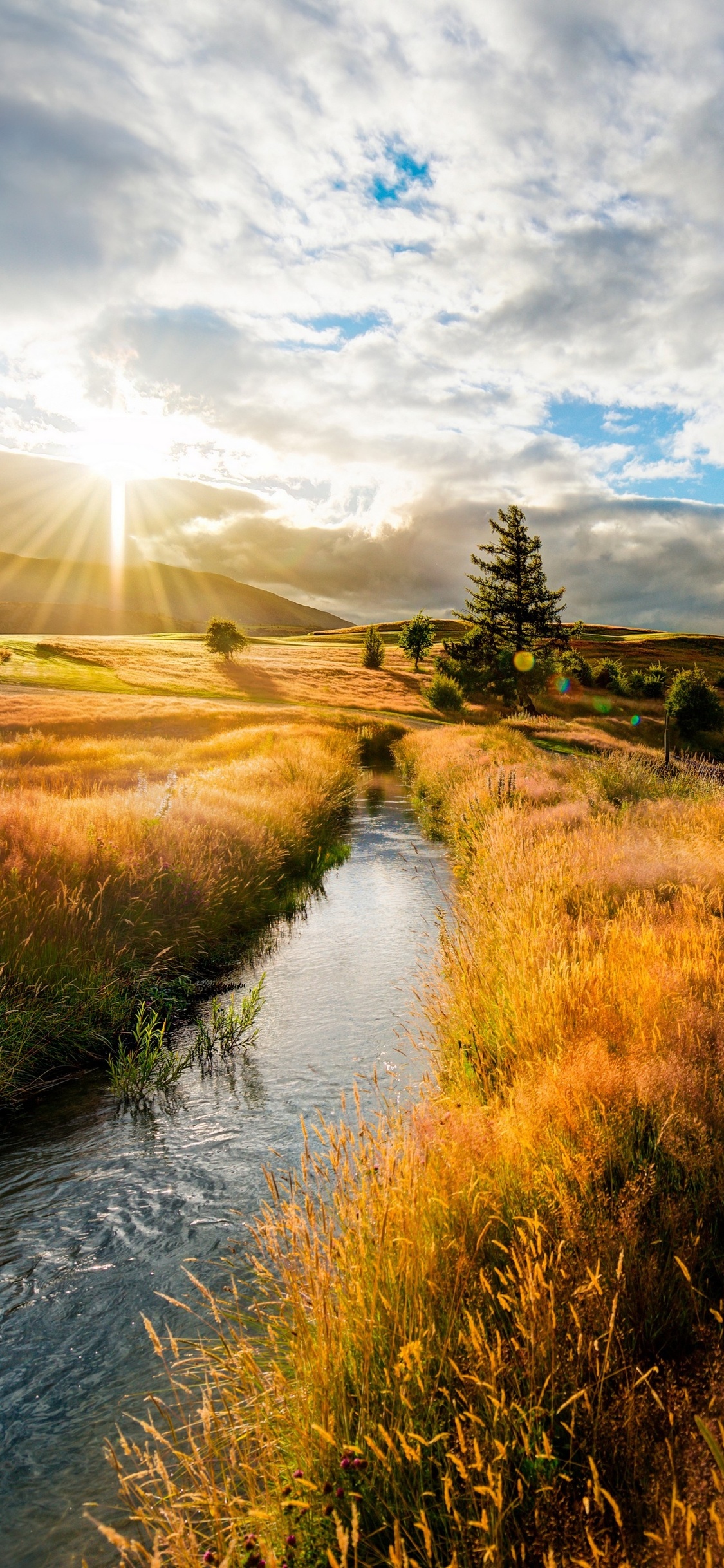 Field Summer Sunset Wallpapers