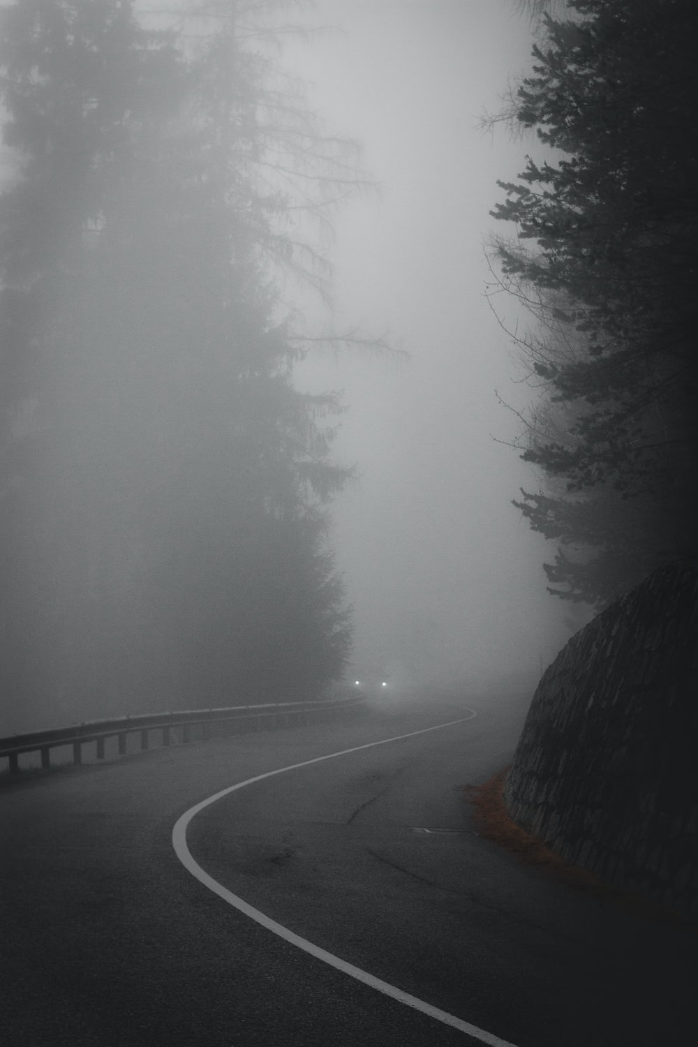 Fog Wallpapers