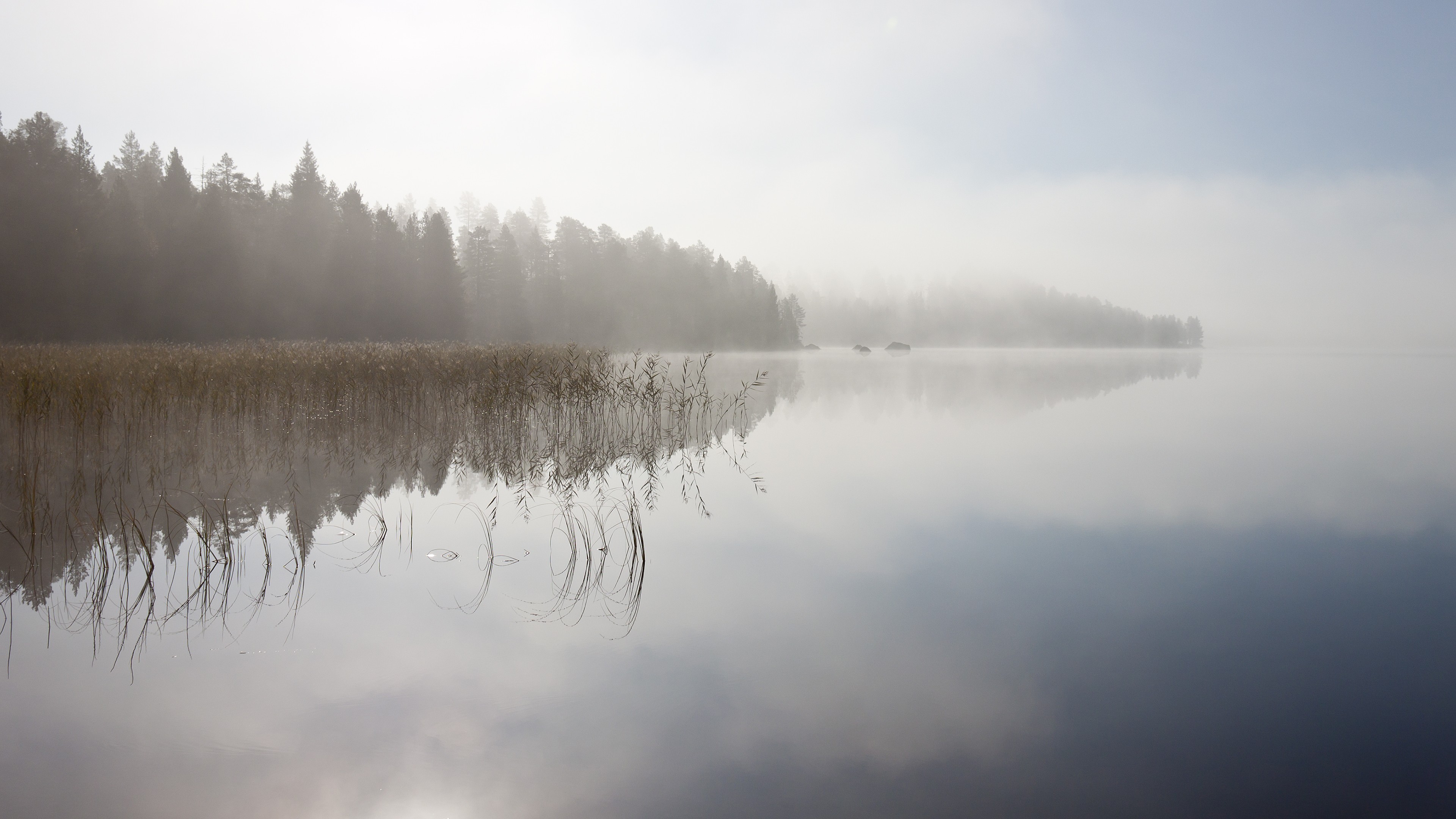 Fog Reflection 4K Wallpapers