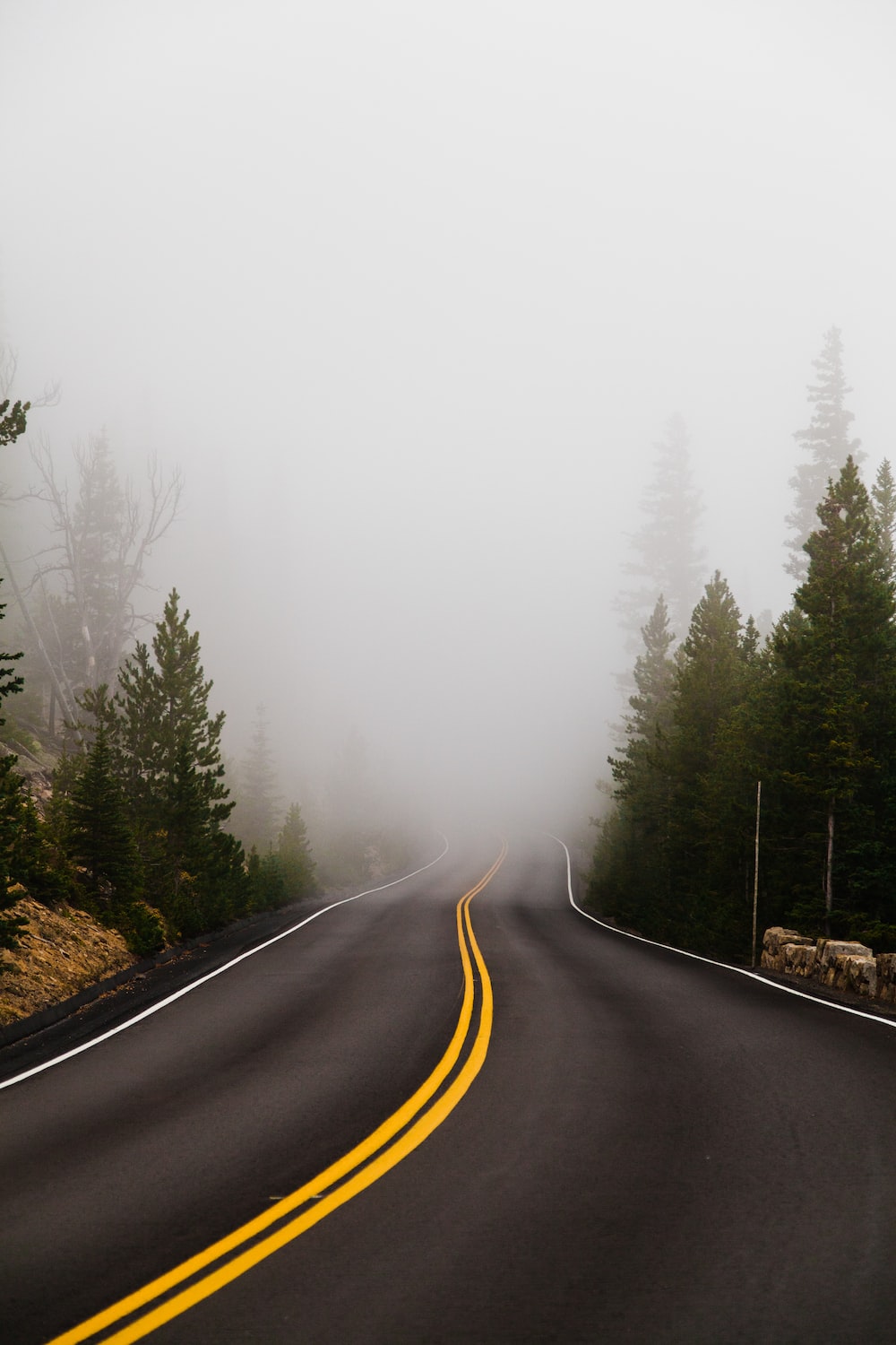 Foggy Empty Road Hd Wallpapers