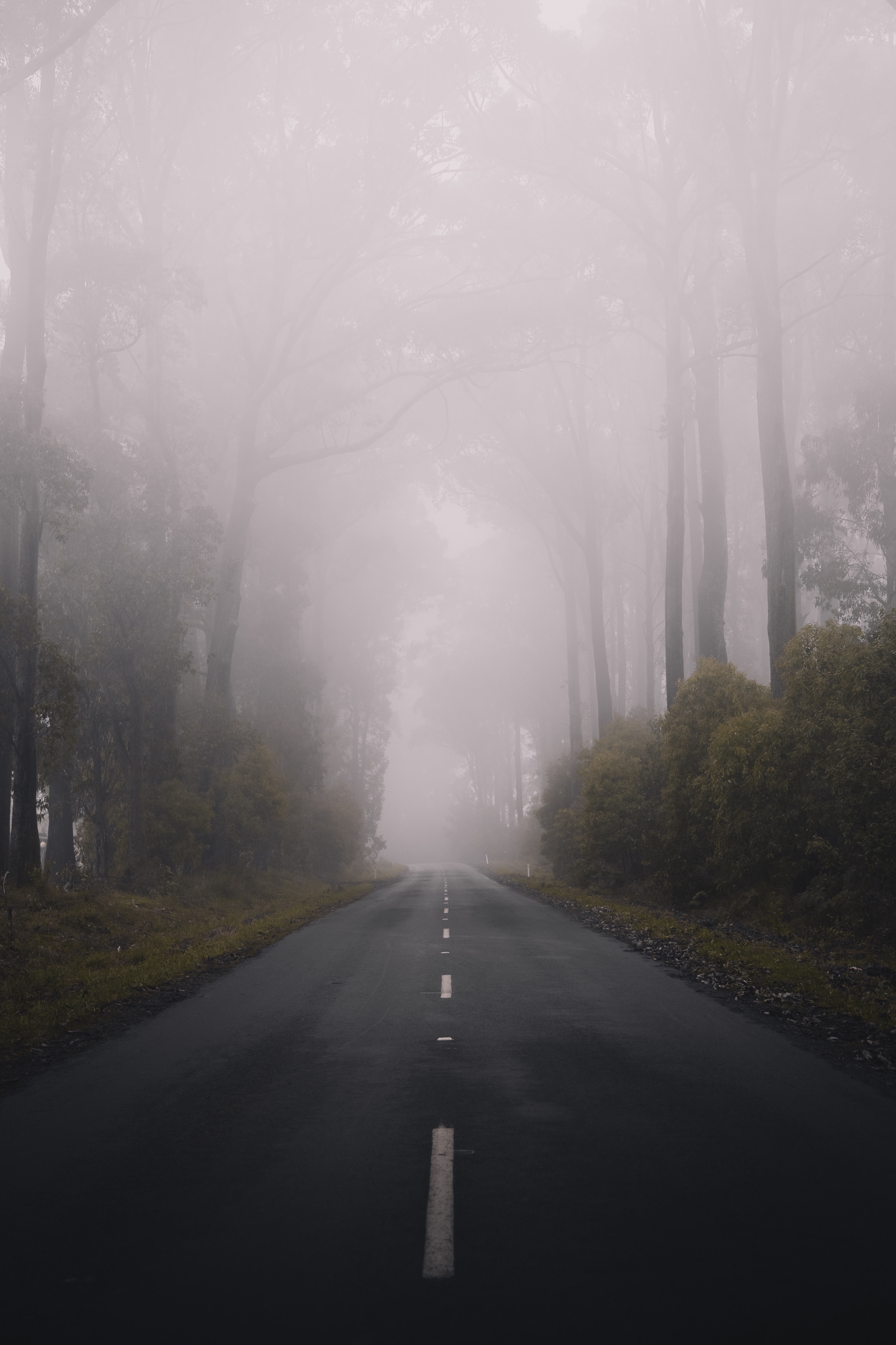 Foggy Empty Road Hd Wallpapers