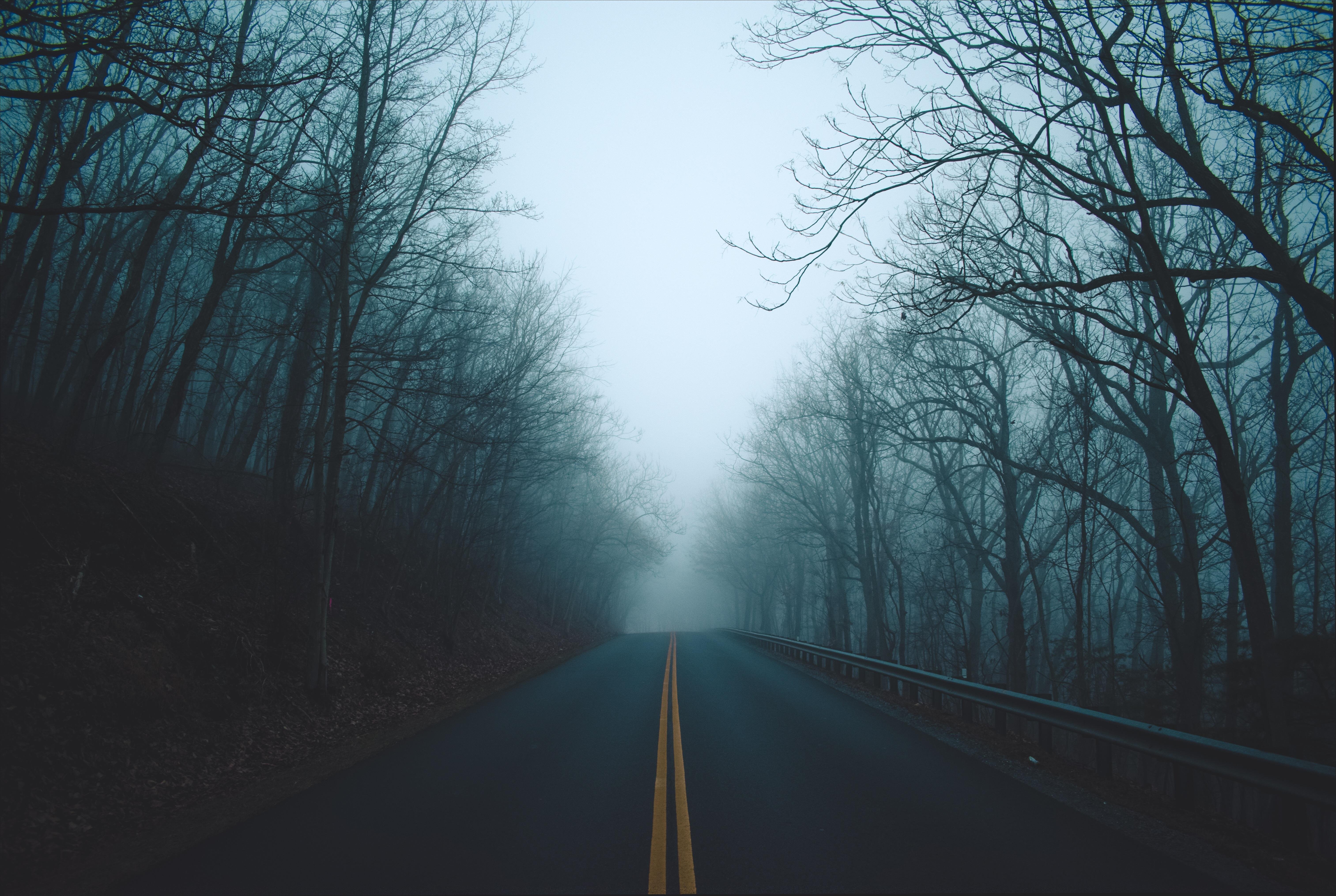 Foggy Empty Road Hd Wallpapers