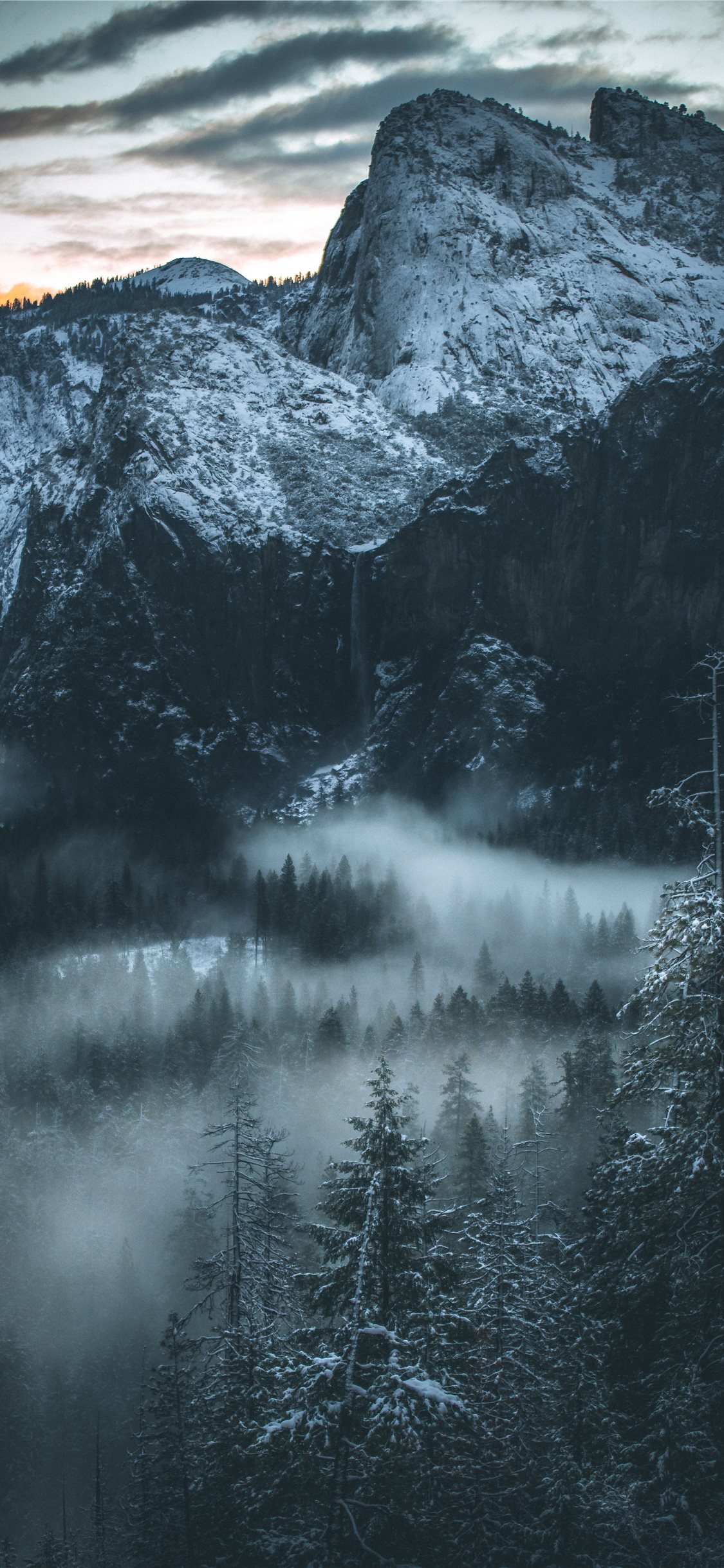 Foggy Forest Mountain Wallpapers