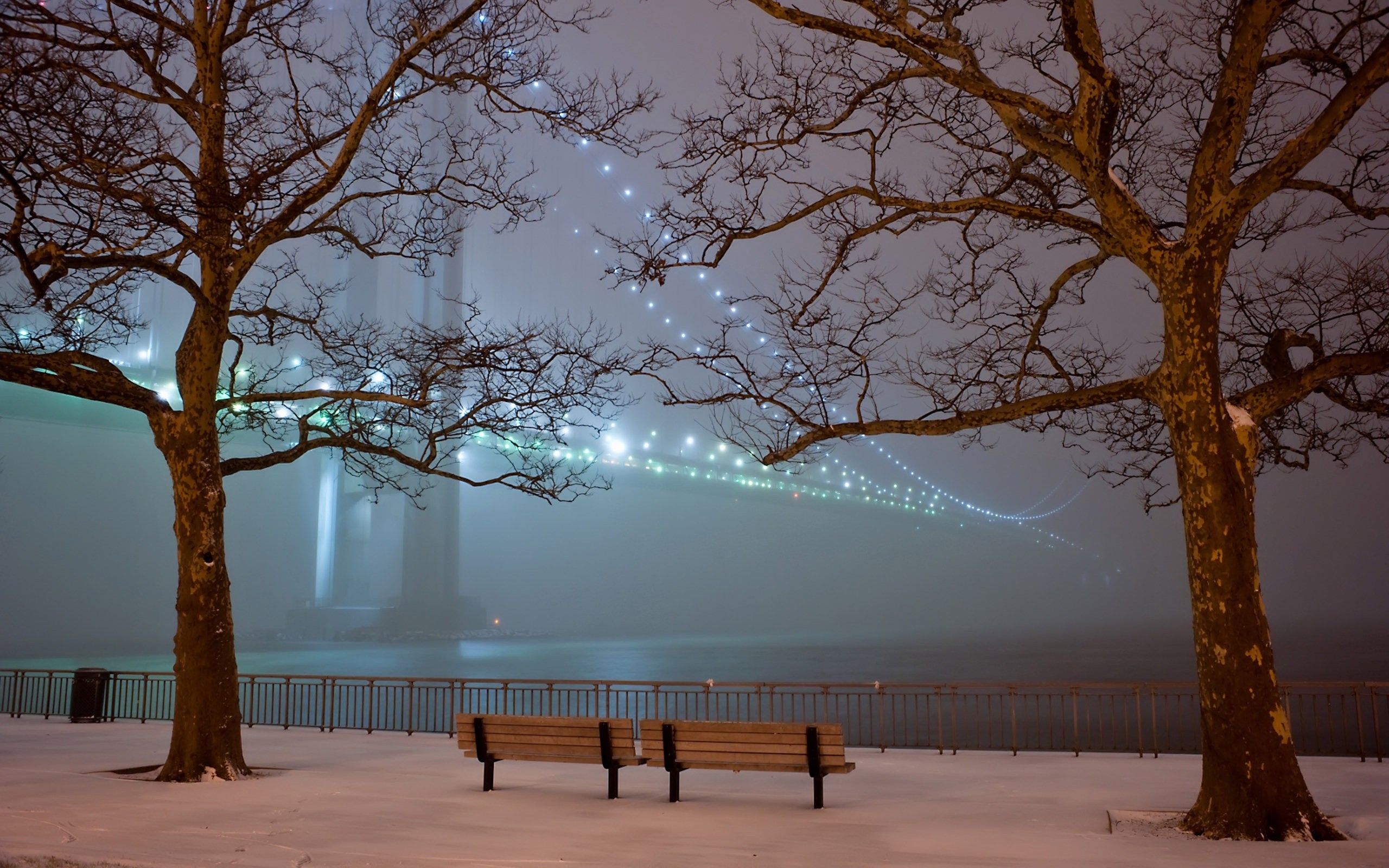 Fogy Forest Winter Day Wallpapers