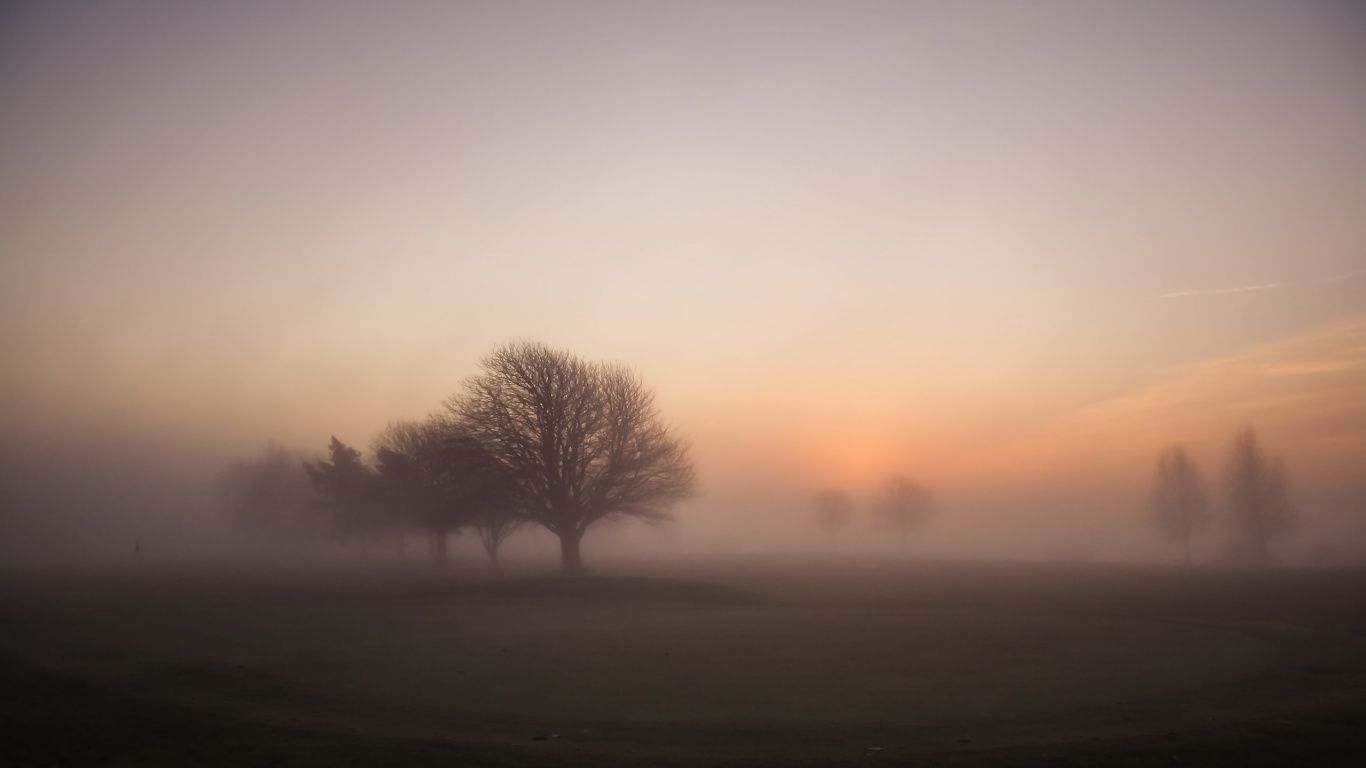 Fogy Sunrise Wallpapers