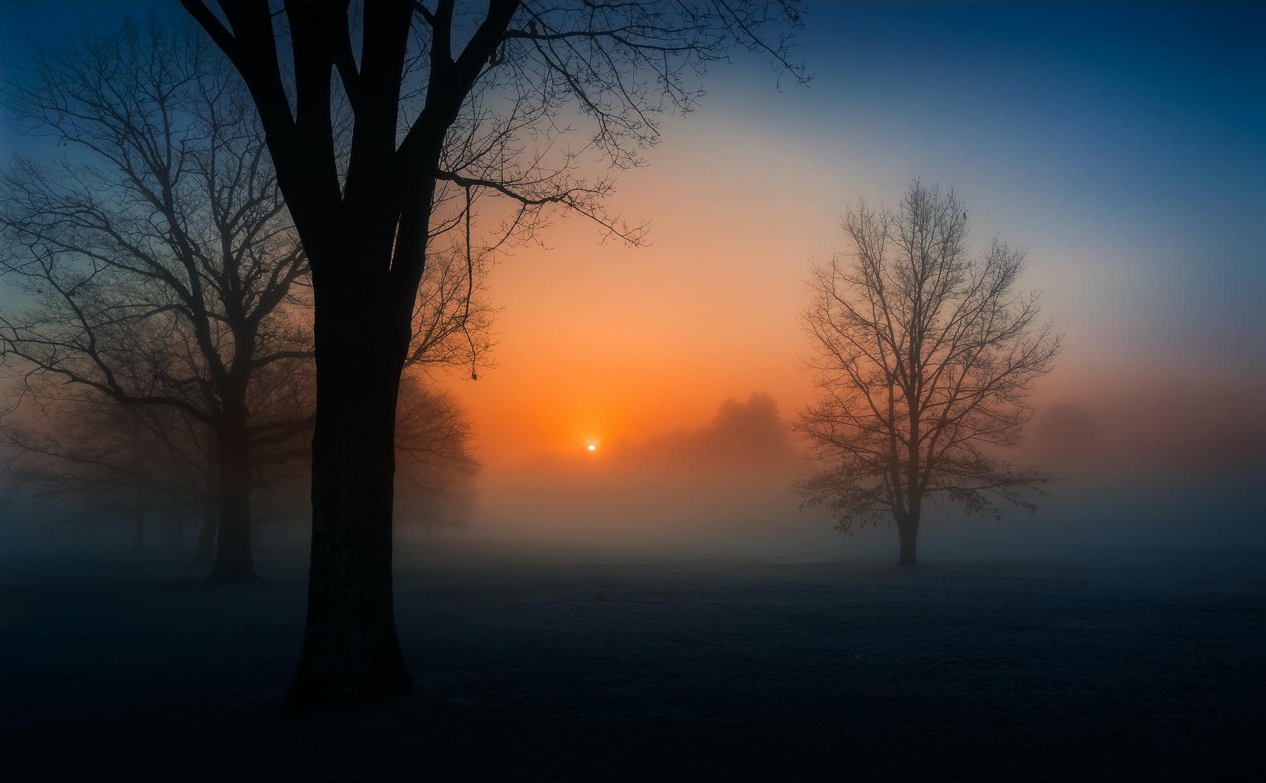 Fogy Sunrise Wallpapers