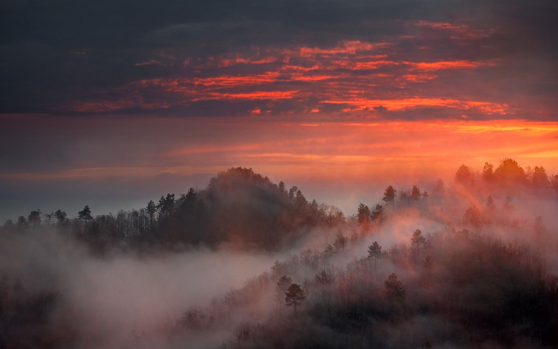 Fogy Sunrise Wallpapers