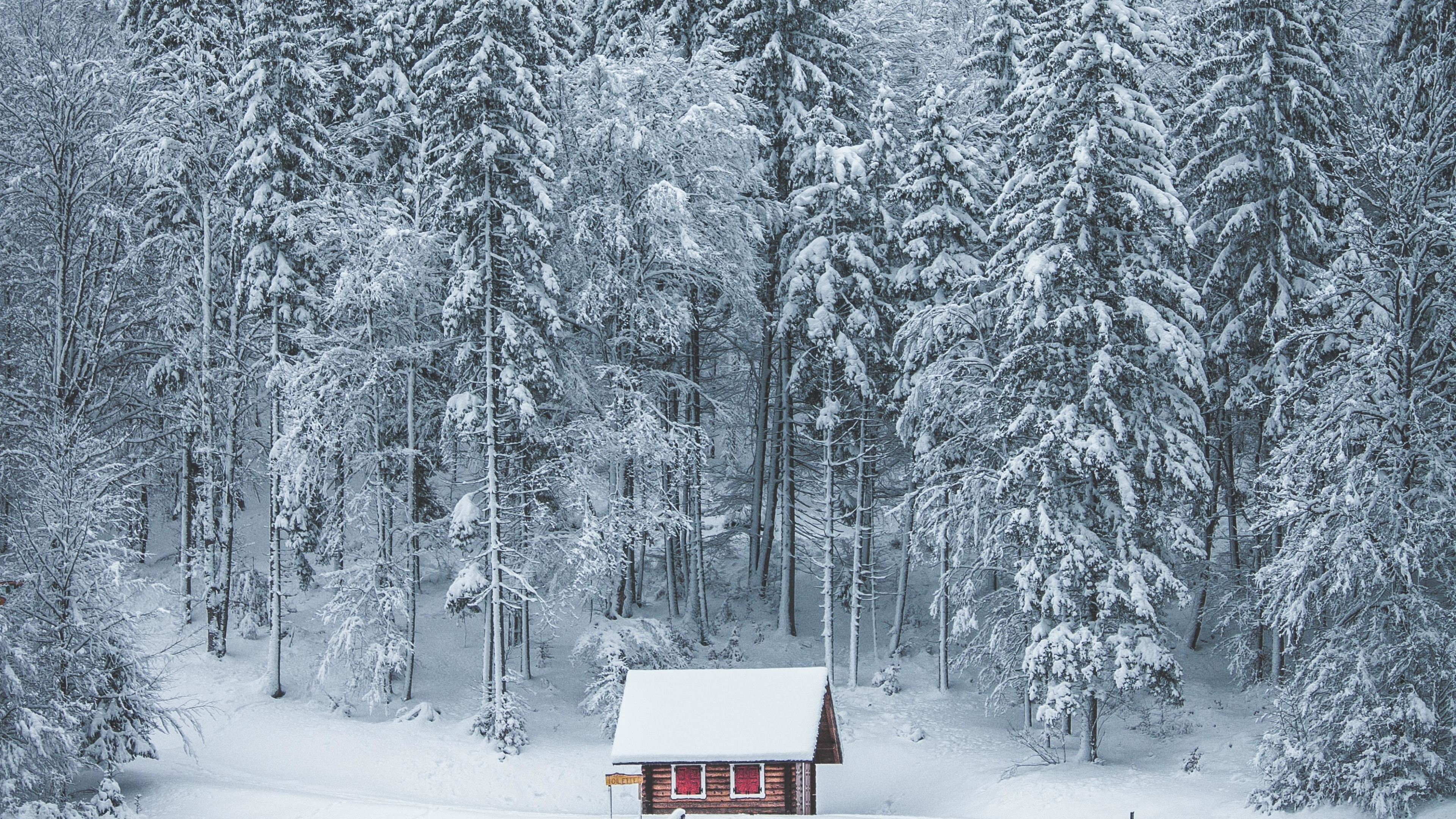 Forest House Covered In Snow 4K Wallpapers