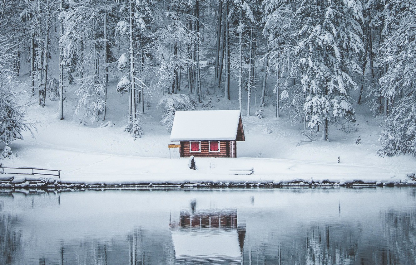 Forest House Covered In Snow 4K Wallpapers