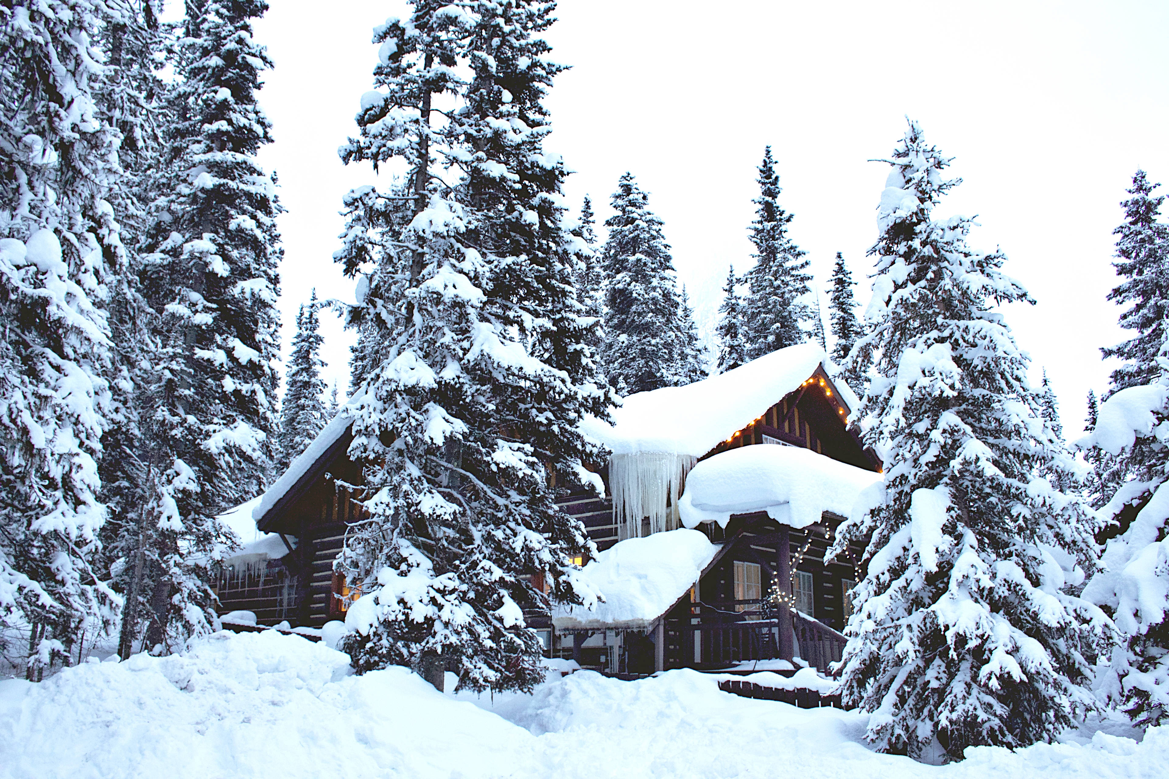 Forest House Covered In Snow 4K Wallpapers