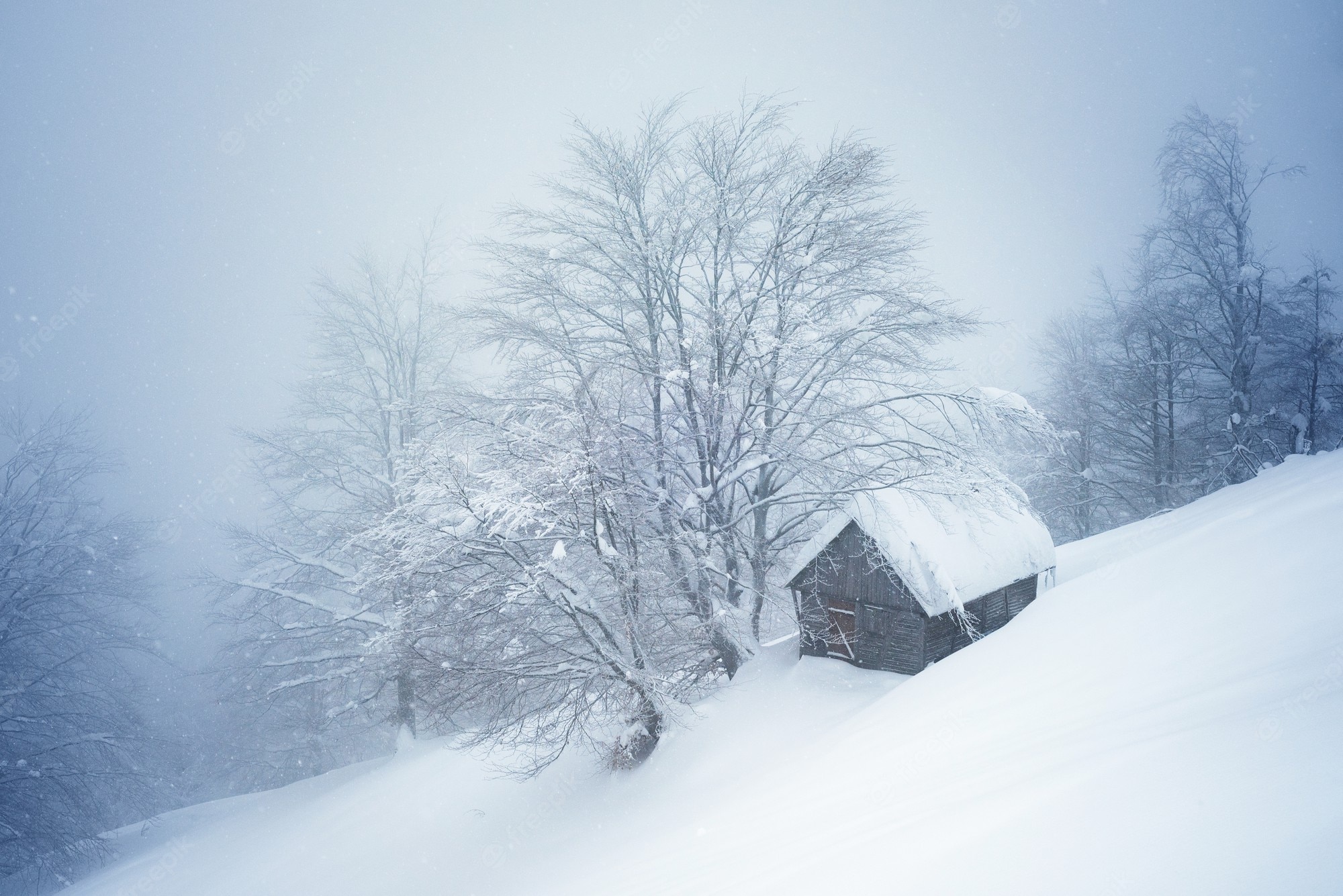 Forest House Covered In Snow 4K Wallpapers