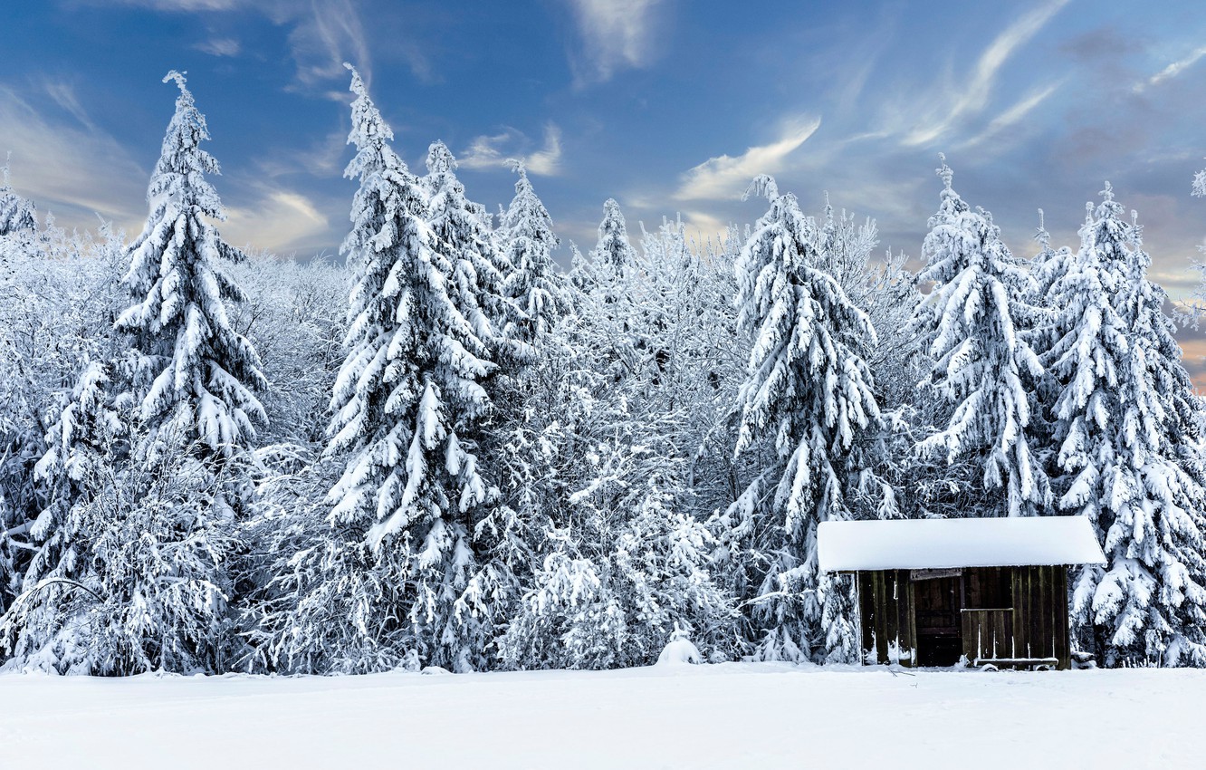 Forest House Covered In Snow 4K Wallpapers